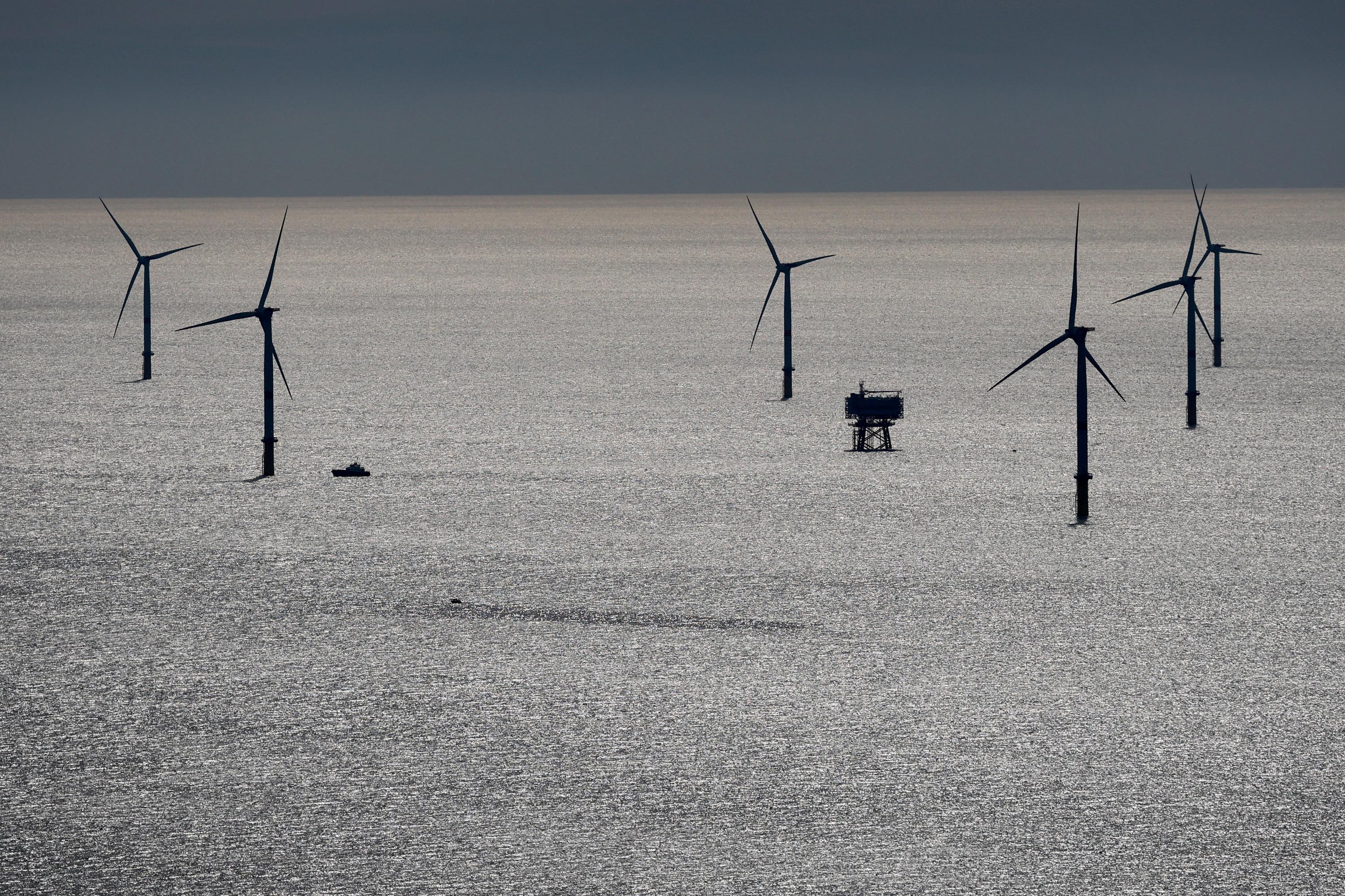 Renewables beat coal globally midyear