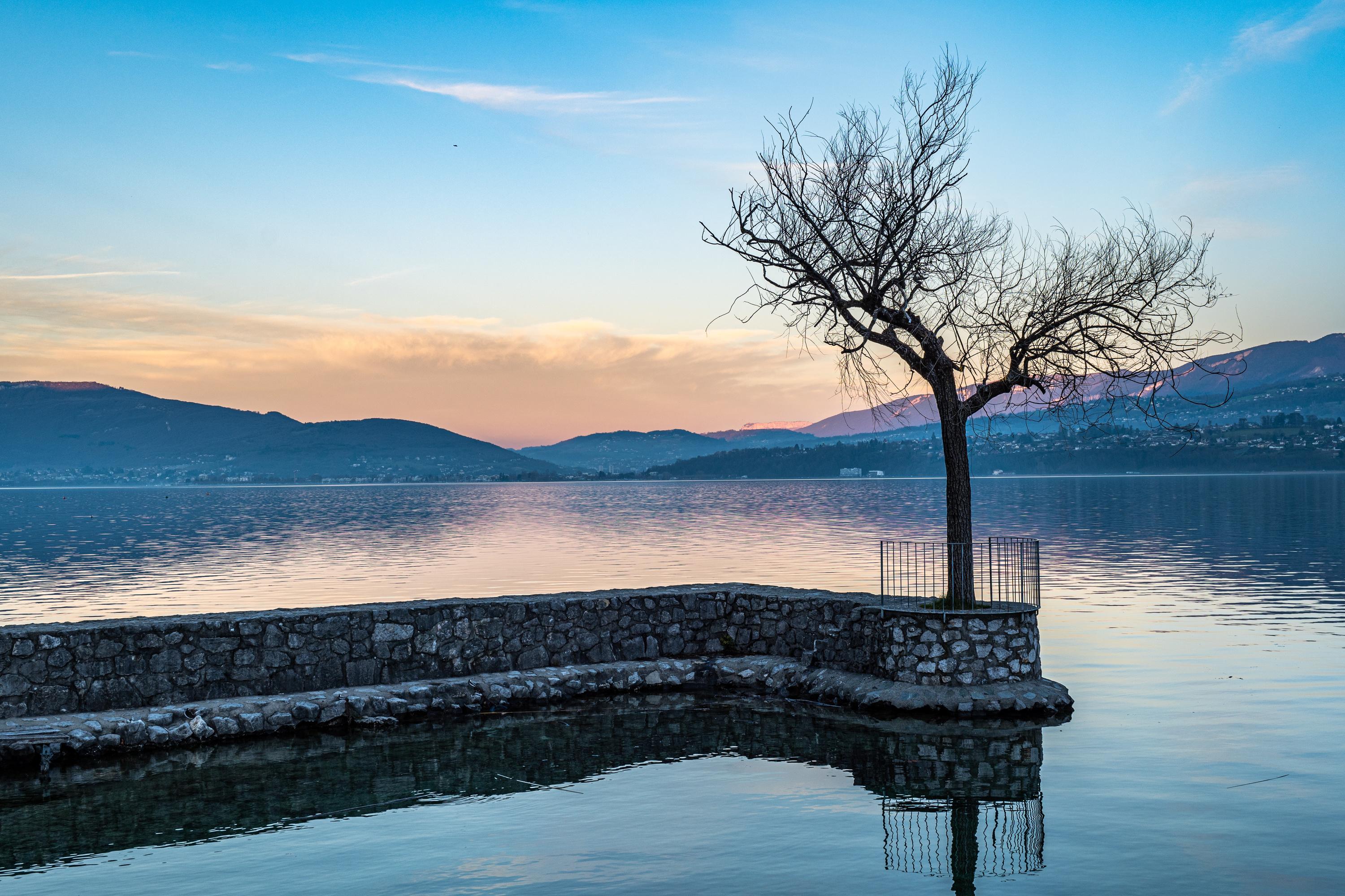 «Elle représente un risque pour les autres espèces» : les lacs alpins face à l’invasion d’une petite moule d’eau douce ukrainienne