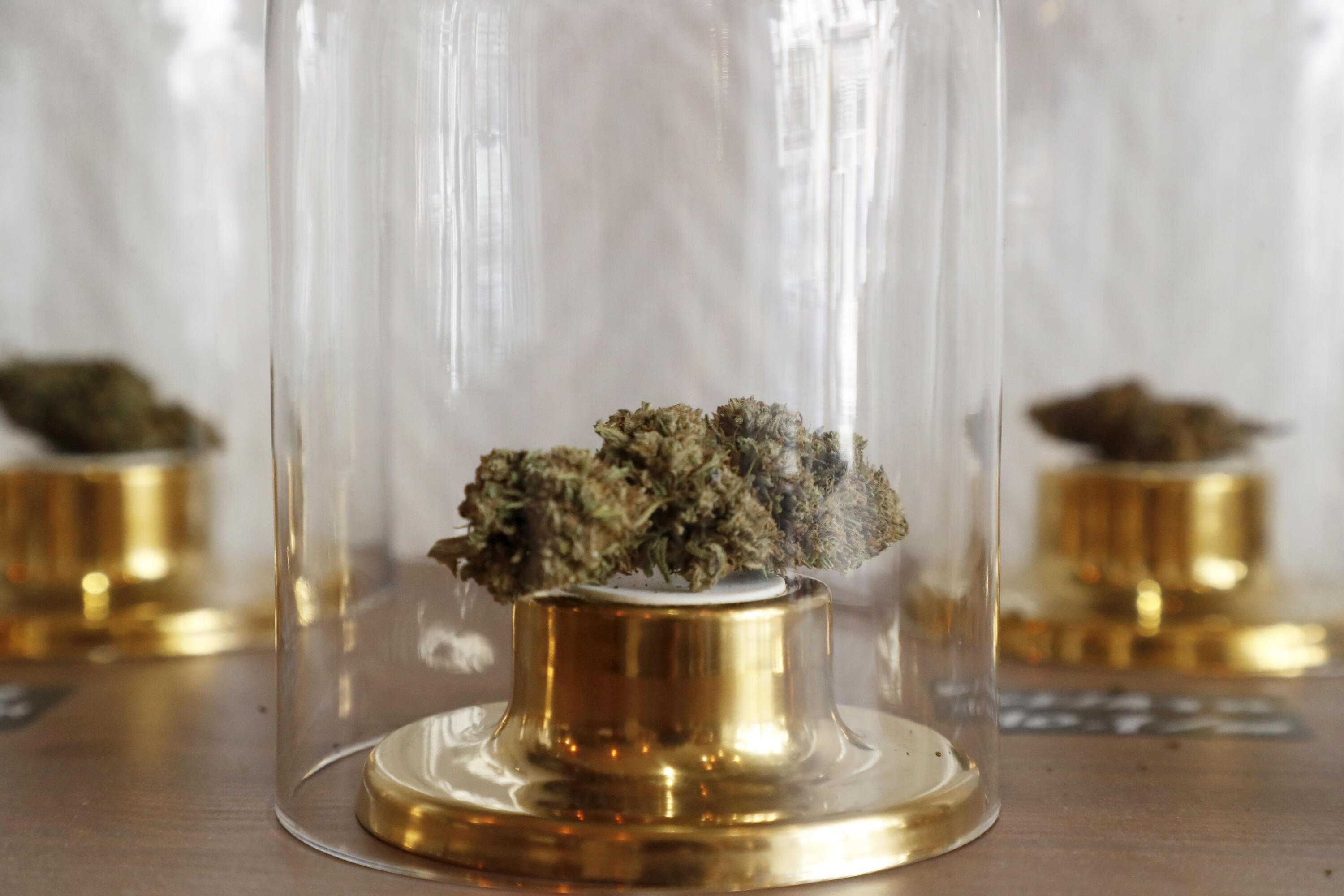 «Ce truc, c’est de la drogue dure»: la dangereuse propagation des cannabinoïdes de synthèse vendus comme du CBD