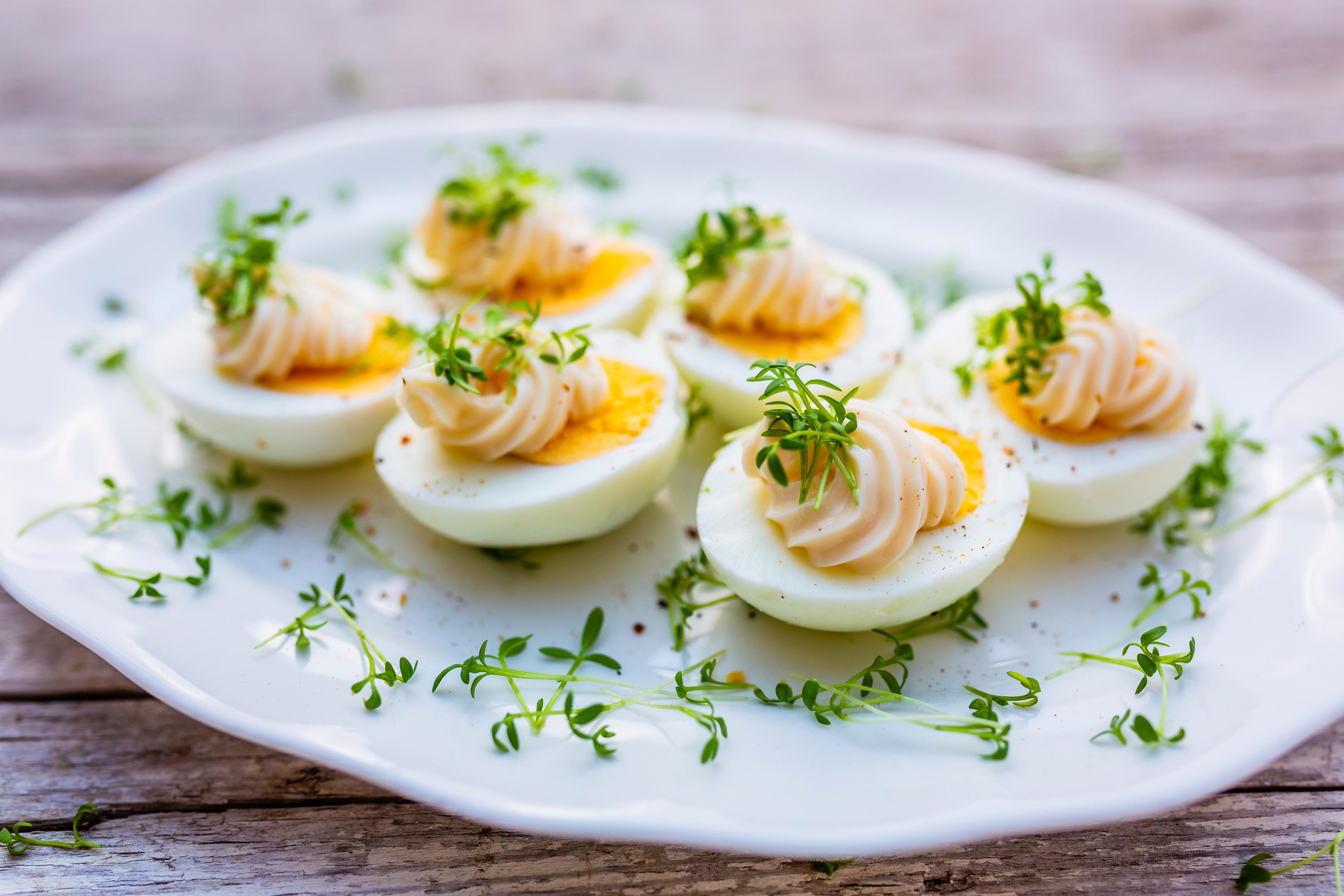 Championnat du monde de l’Œuf Mayonnaise : Assistez à la demi-finale du concours en Bourgogne