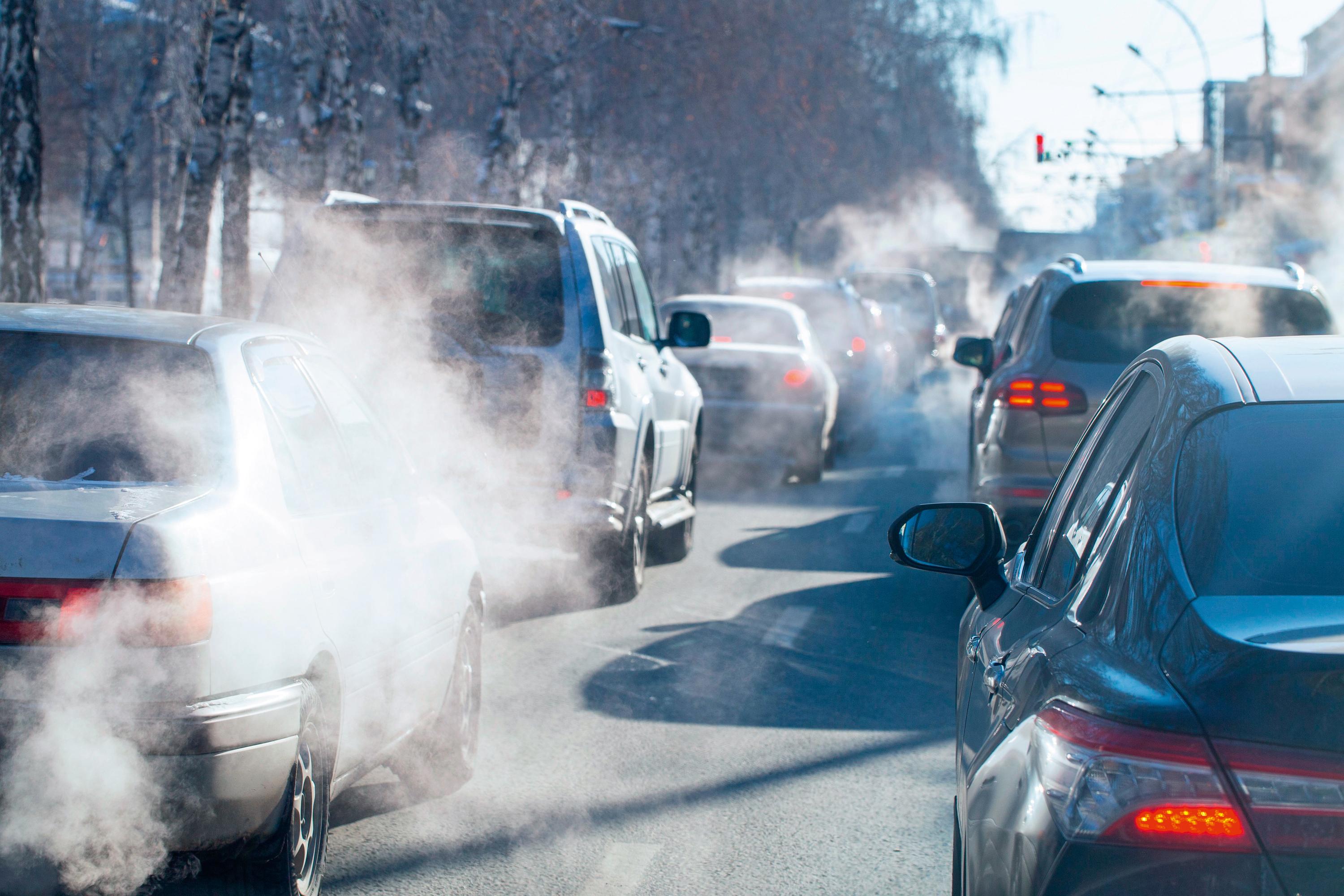 Stéphane Jamain : «La pollution de l’air favorise les troubles mentaux»