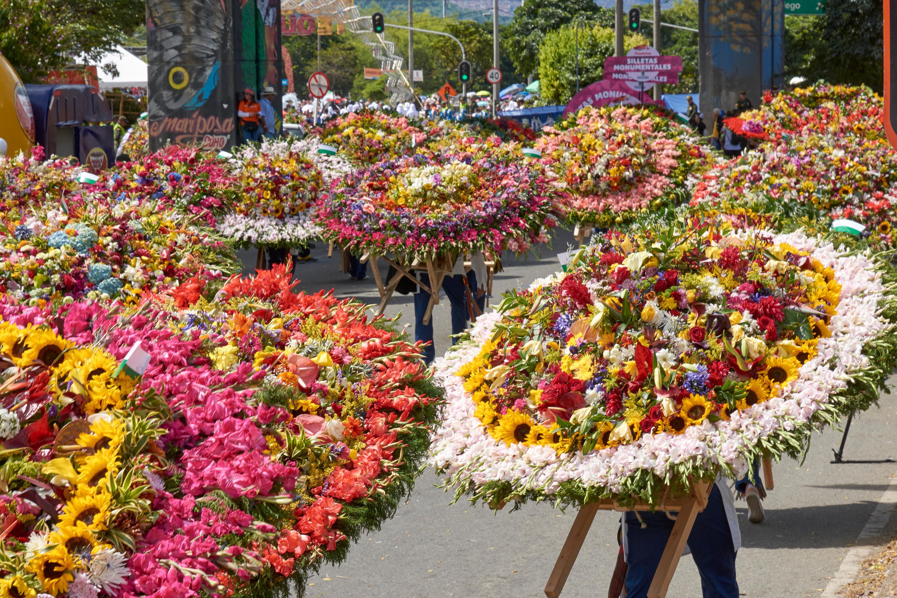 «Tournesol», «tulipe», «anémone»... les poétiques origines des noms de fleurs