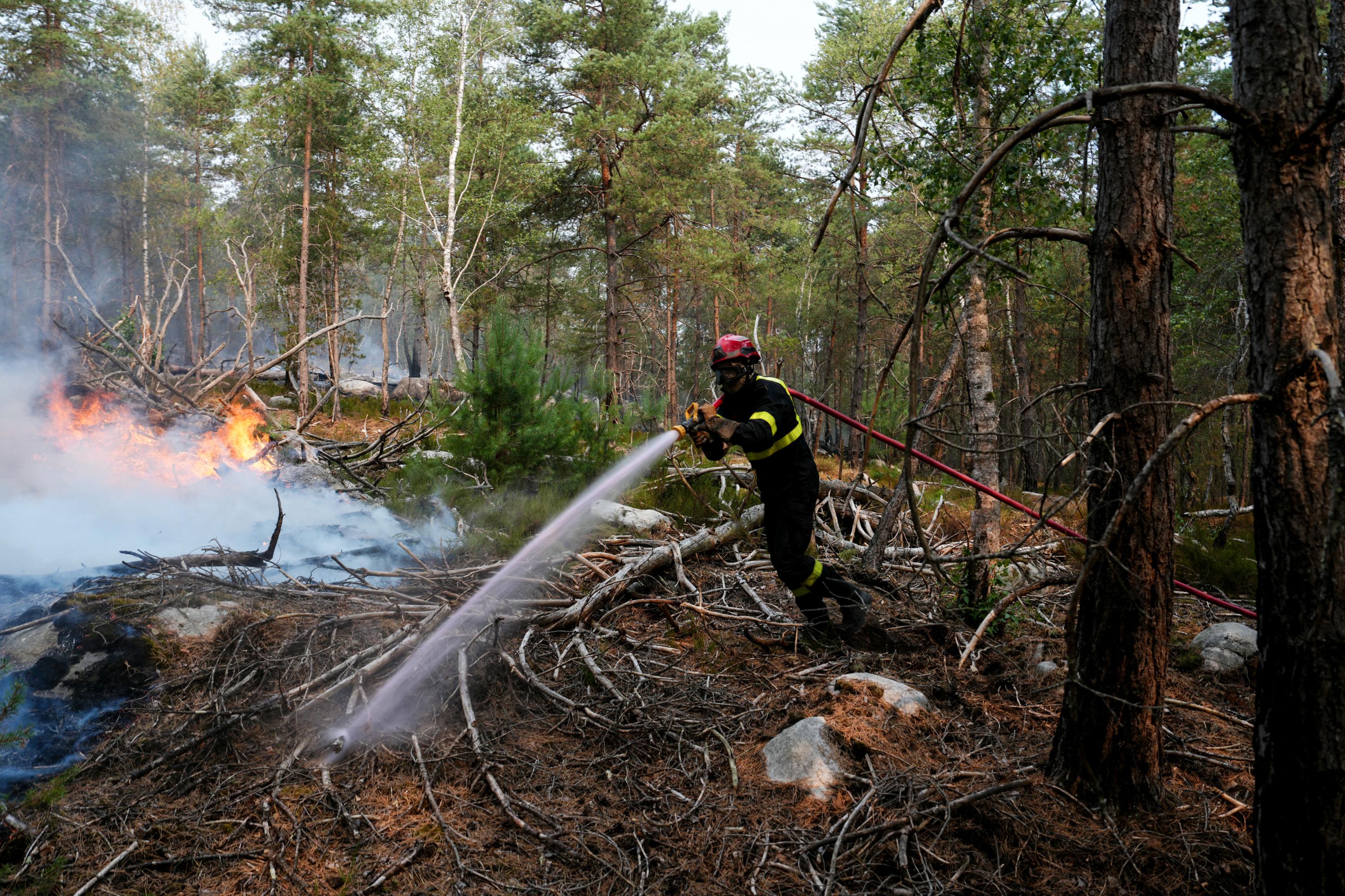 EN DIRECT - Incendies : Emmanuel Macron attendu en fin de matinée en forêt de Fontainebleau