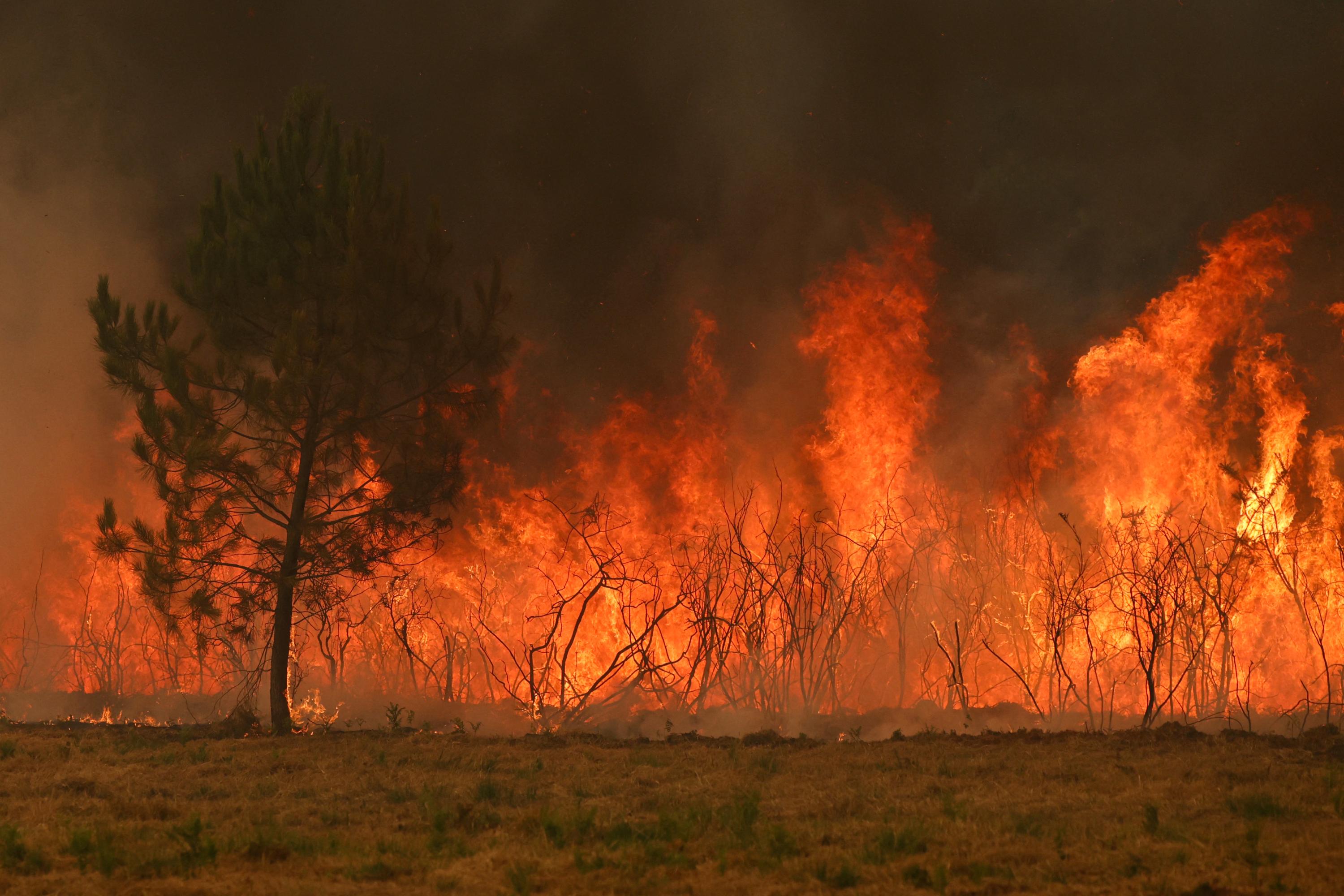 EN DIRECT - Incendies : le feu poursuit sa progression en Gironde, Macron présidera lundi à 10 heures une cellule interministérielle de crise