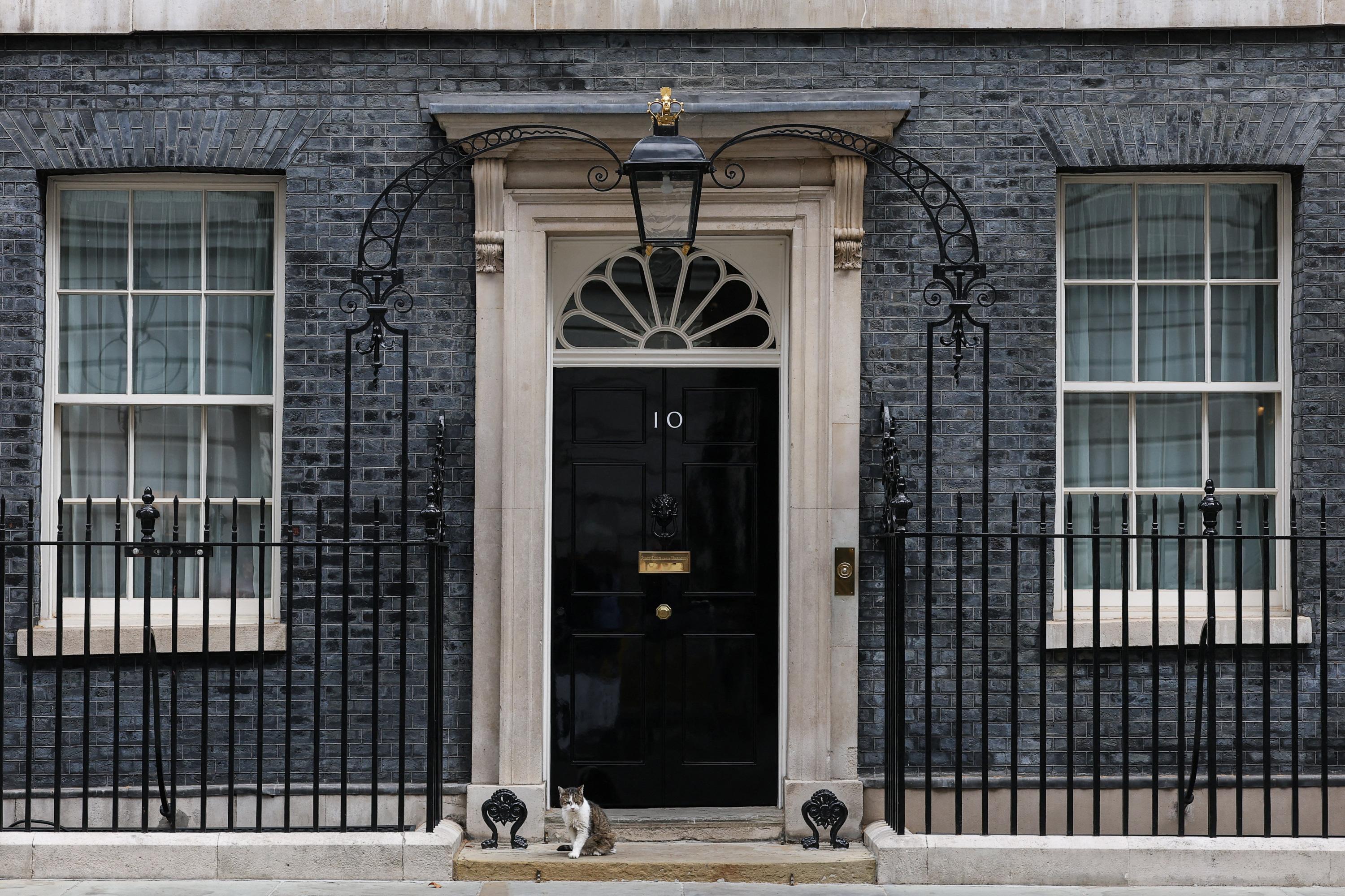 «Doit. Résister. L’envie. De. Gratter» : Larry, le chat de Downing Street, réagit au prêt de la tapisserie de Bayeux