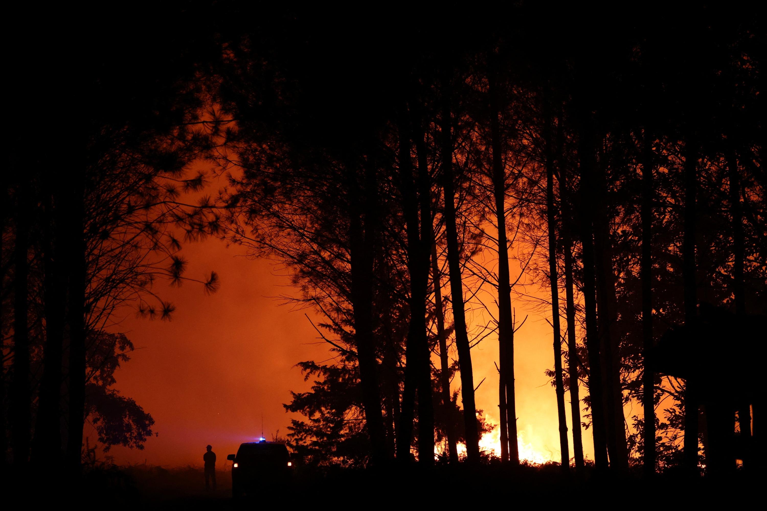 Incendies en France : 98.000 hectares ravagés cet été, du jamais-vu depuis 1976