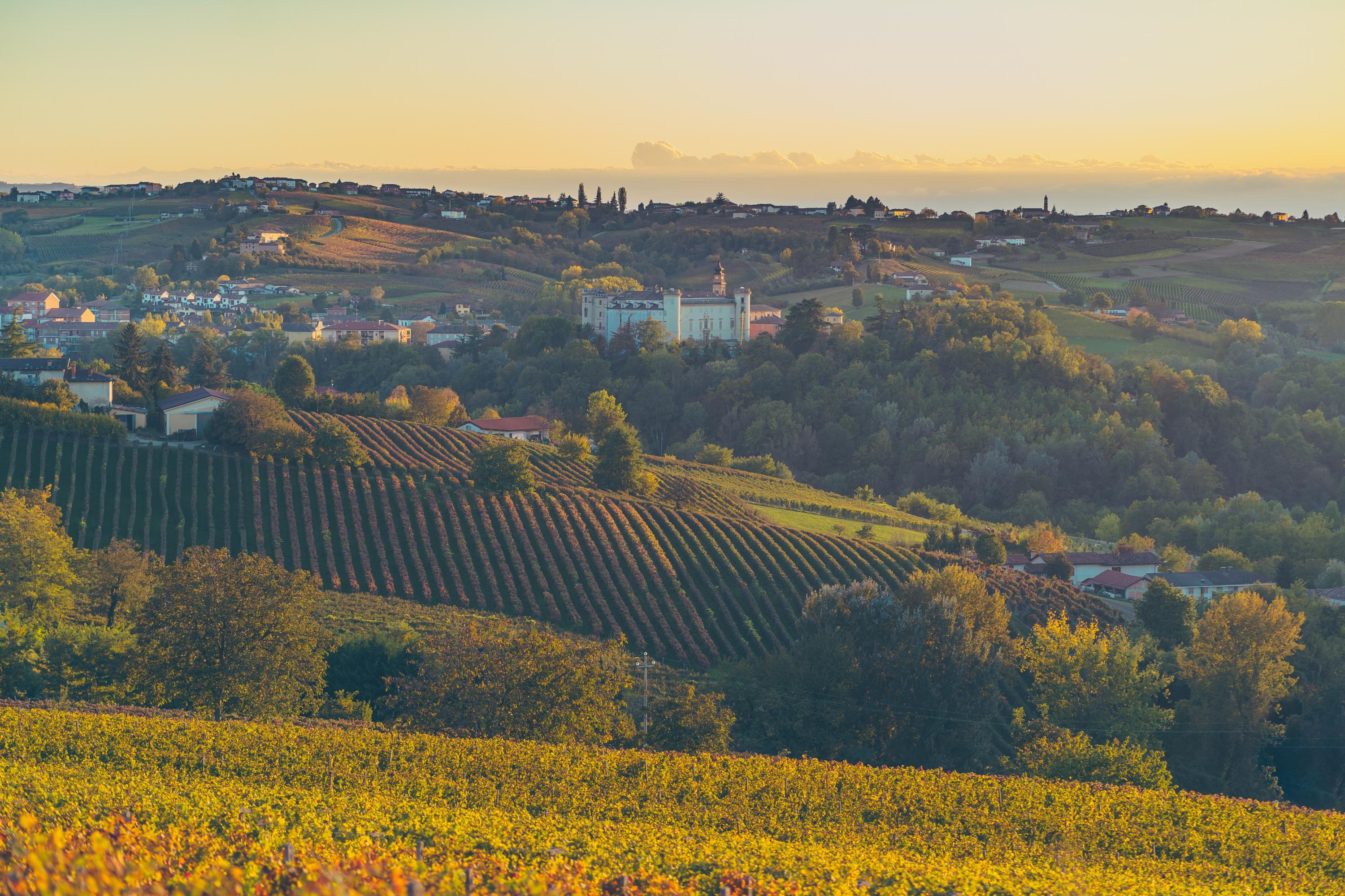 En Italie, les vignerons s’inquiètent de ne pas écouler leurs stocks face à la baisse de consommation