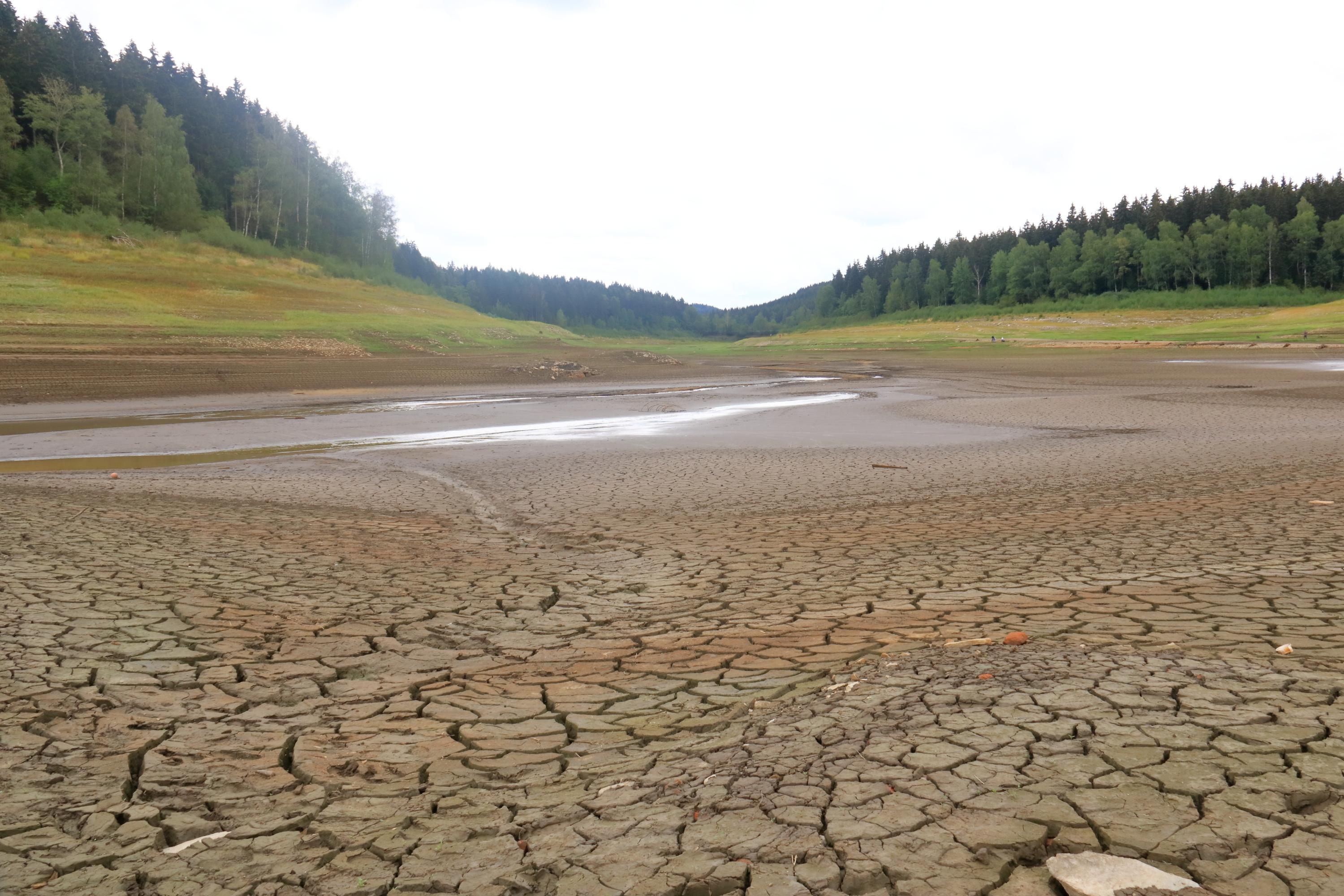 Climat : les pays du Pacifique au premier plan lors du sommet avant la COP31