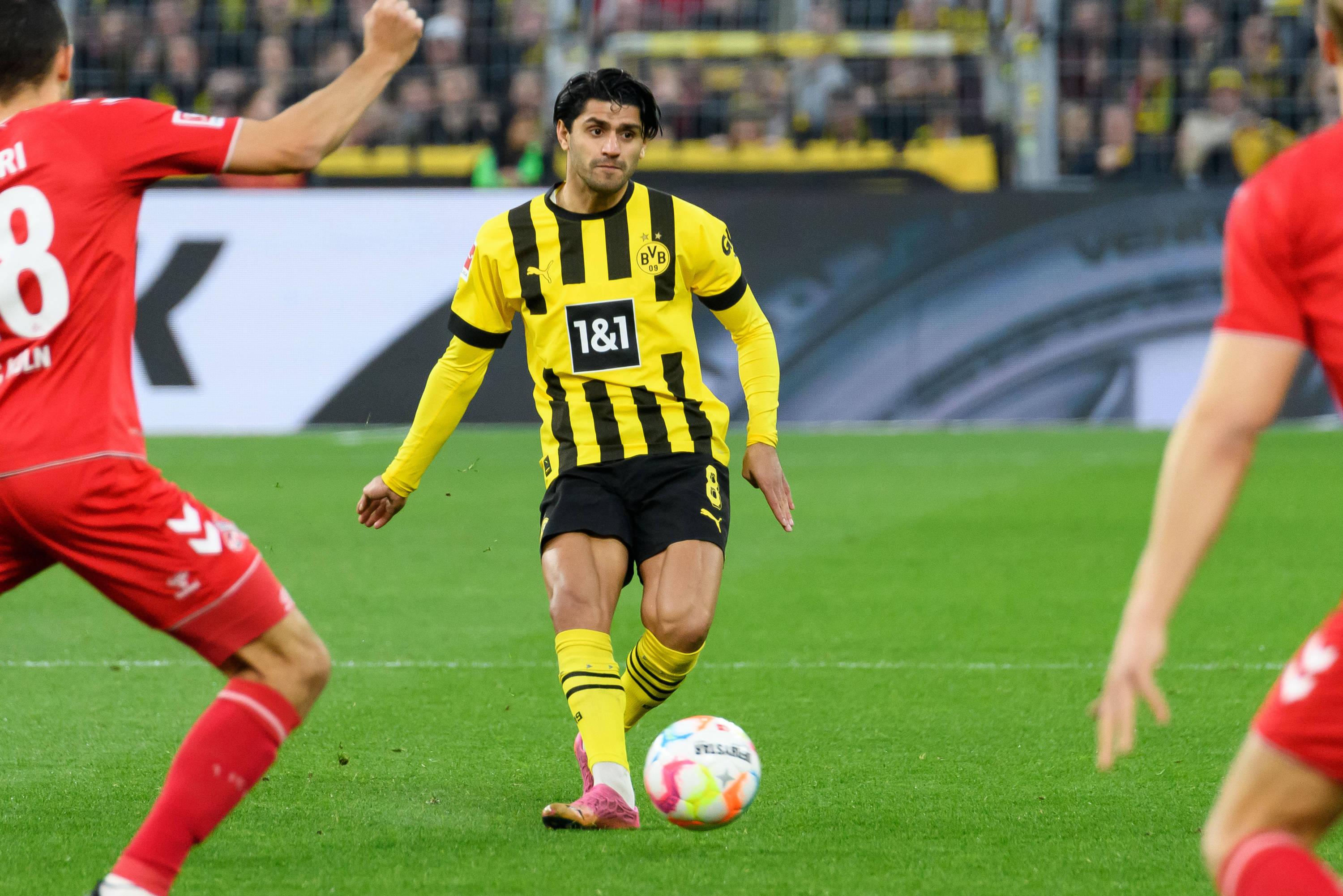 Mercato : Dahoud signe à Brighton