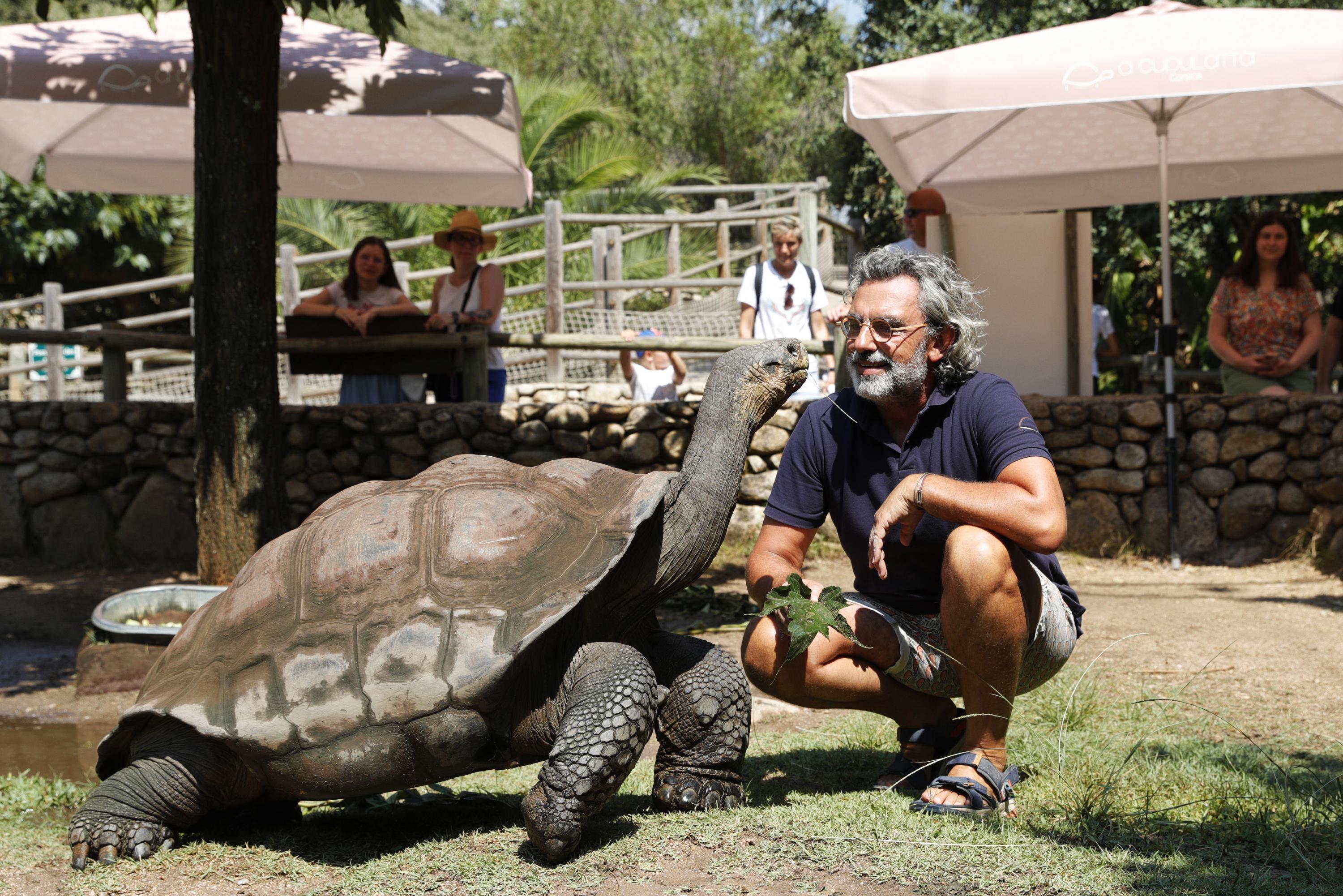 Ajaccio : naissance d'une tortue géante des Galapagos, une première en France