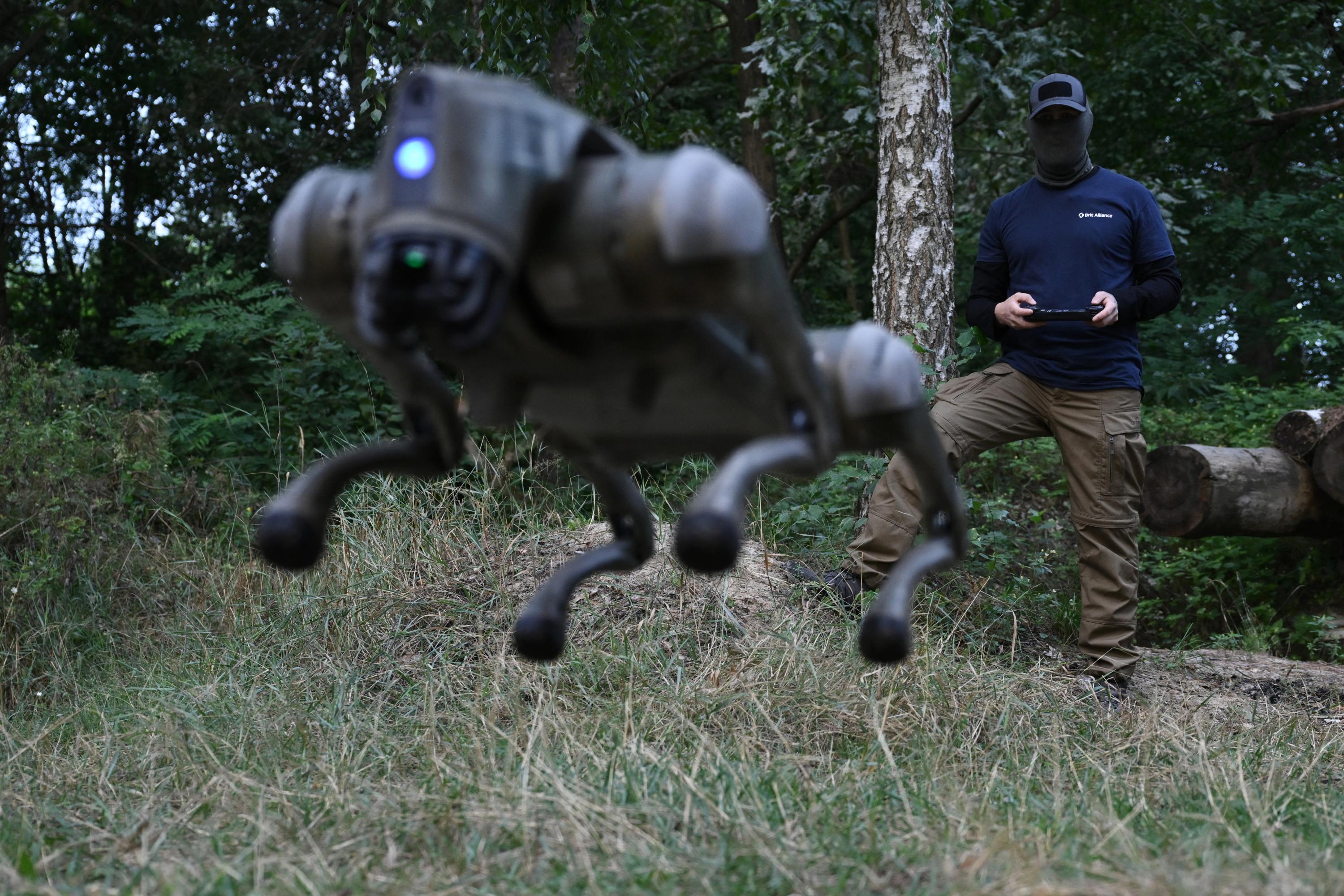 Guerre en Ukraine: des chiens-robots pour préserver les vies des soldats