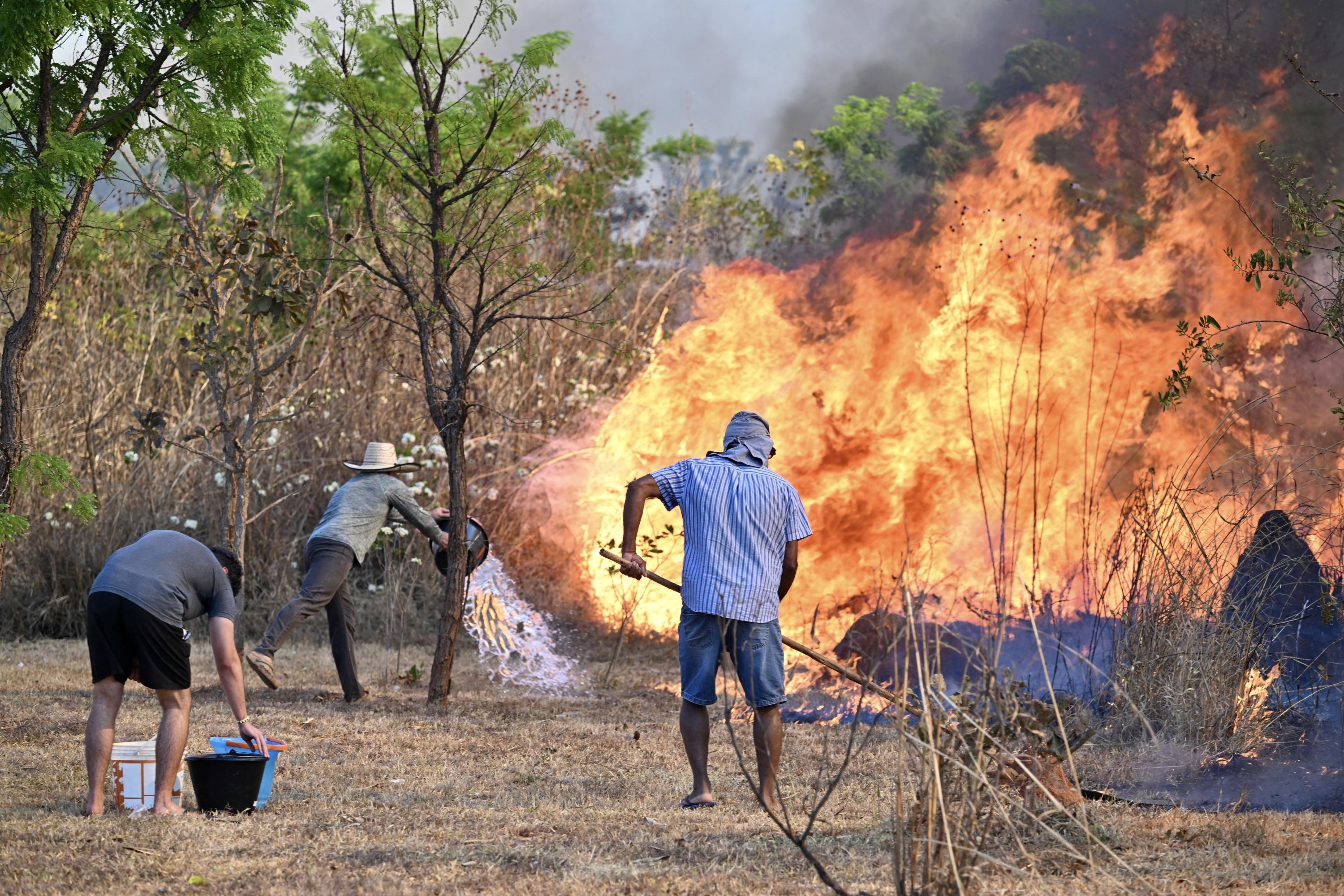 Brésil: la vague d'incendies touche le parc national de la capitale Brasilia