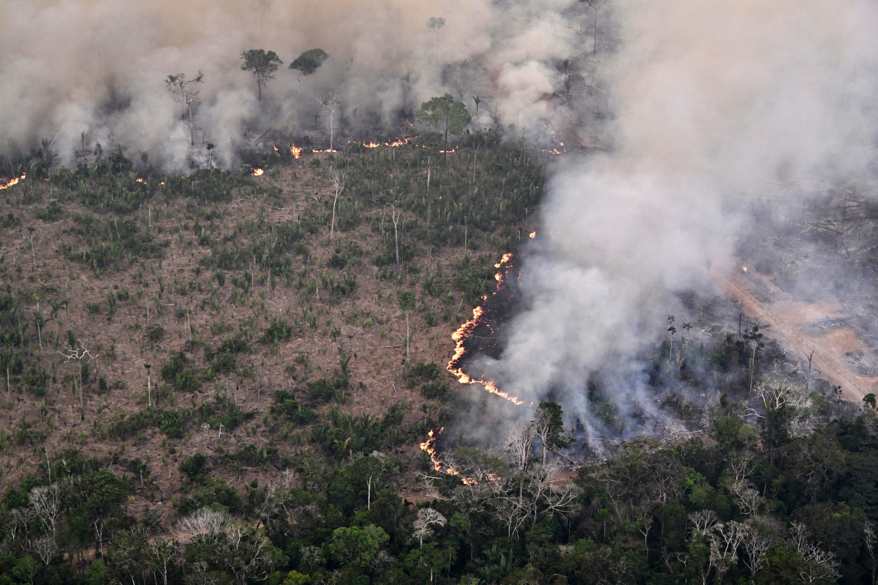 En 40 ans, l’Amazonie a perdu une surface équivalente à celle de la Colombie à cause de la déforestation