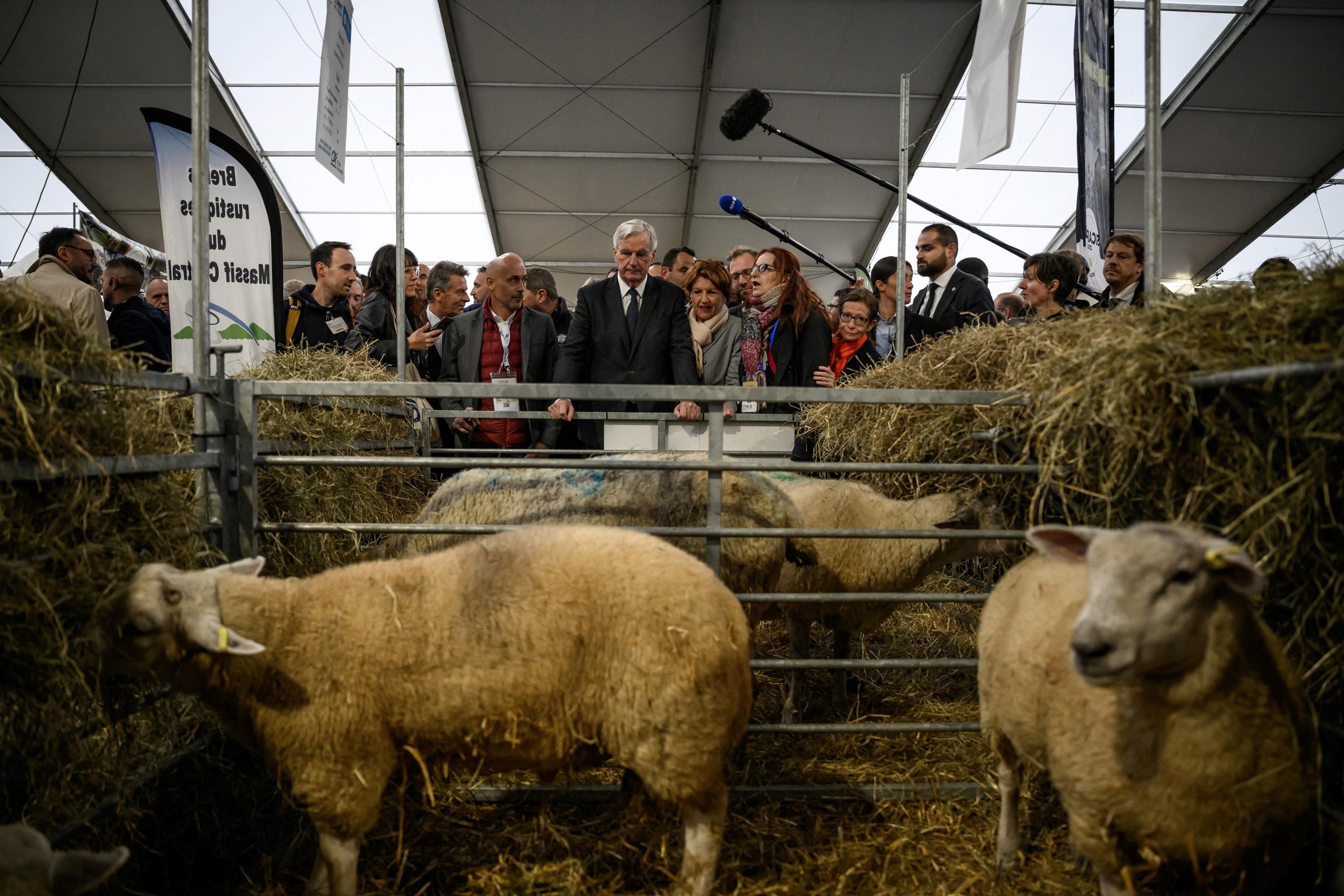 Agriculture : Michel Barnier annonce des prêts garantis et 75 millions d'euros pour les éleveurs de brebis