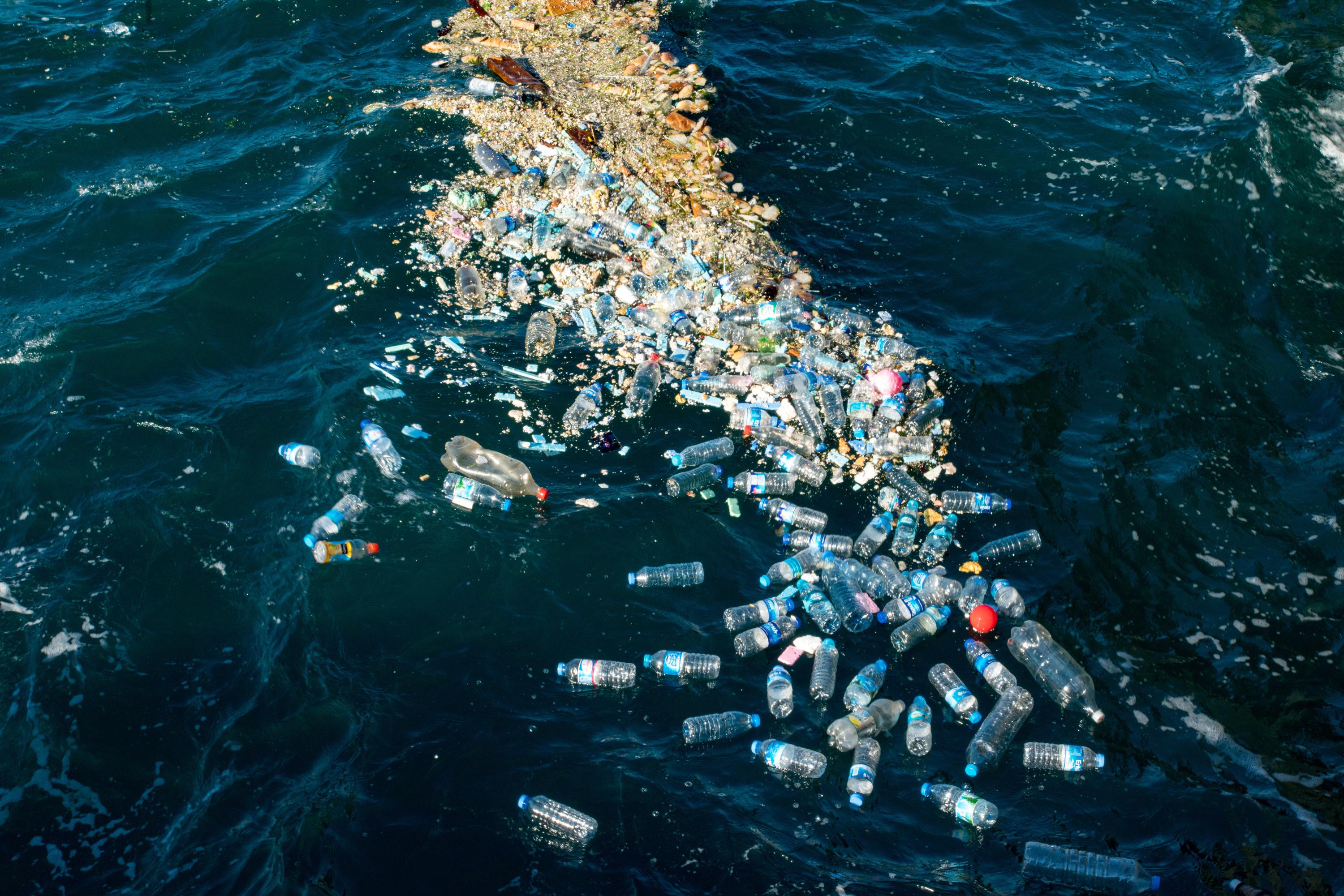 Lutte contre la pollution : découverte prometteuse d’une bactérie mangeuse de plastique