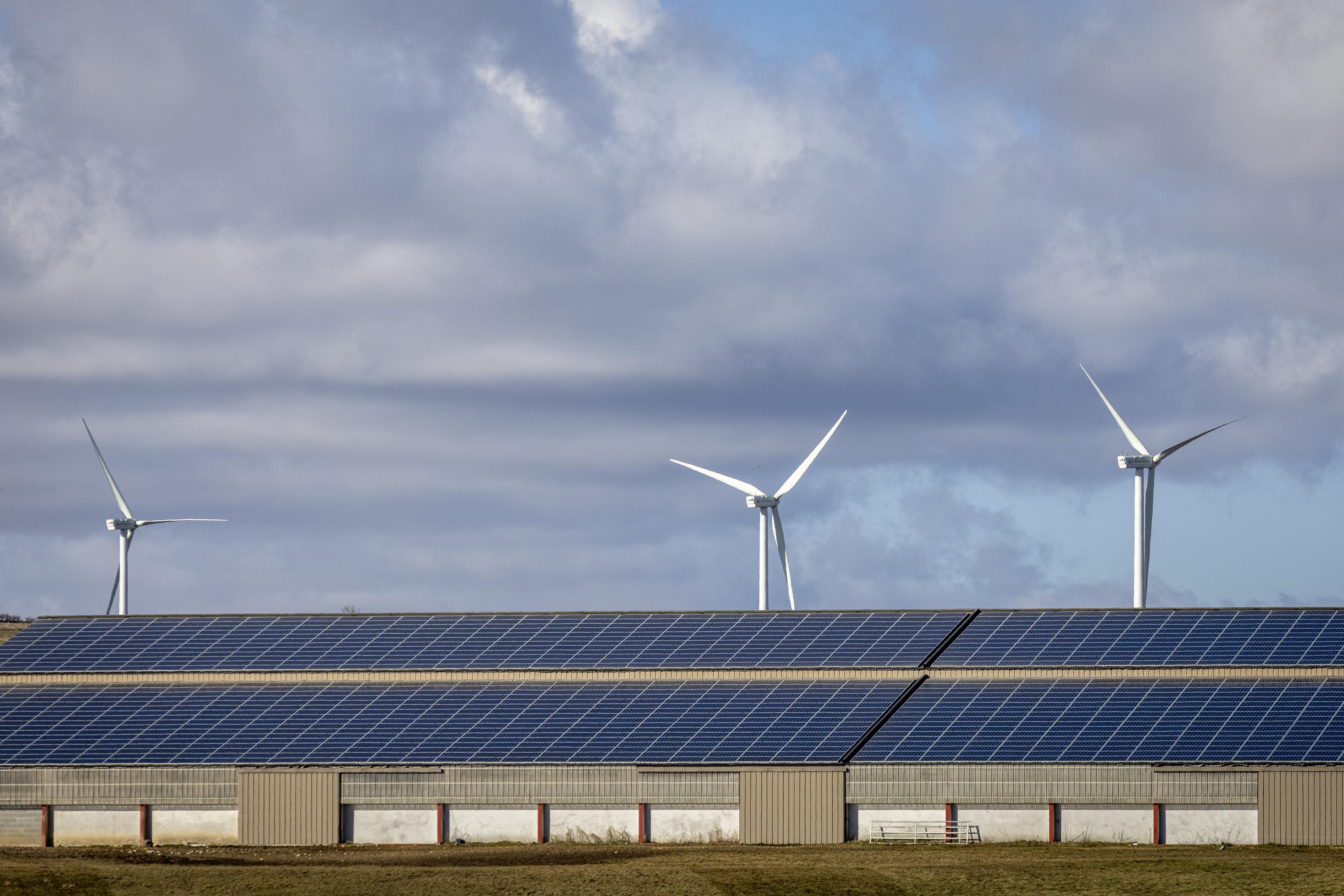 Le gouvernement veut réduire les aides à l’installation de panneaux solaires