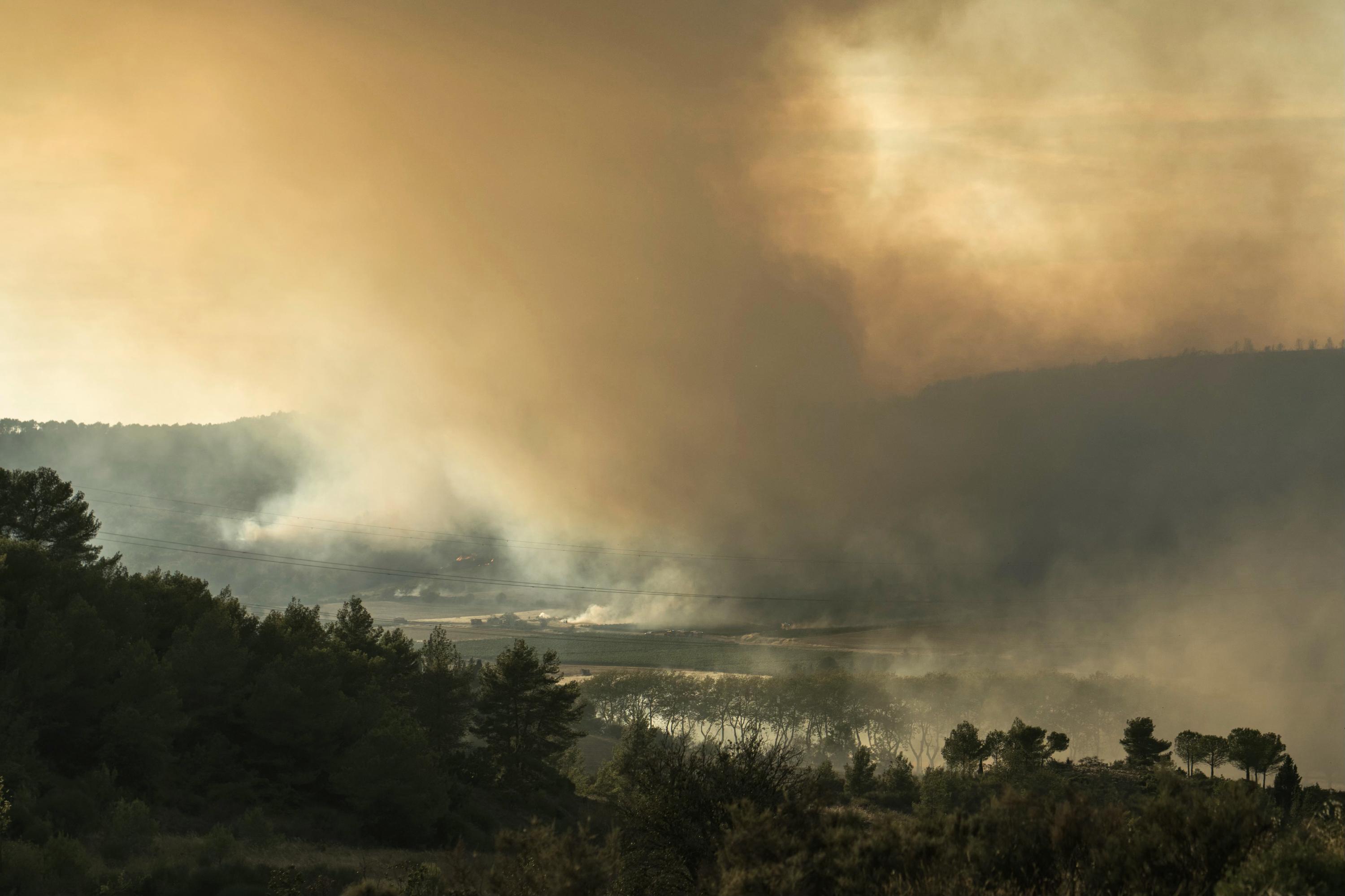 Corse : Deux Feux De Forêts En Cours Ravagent Plus De 200 Hectares