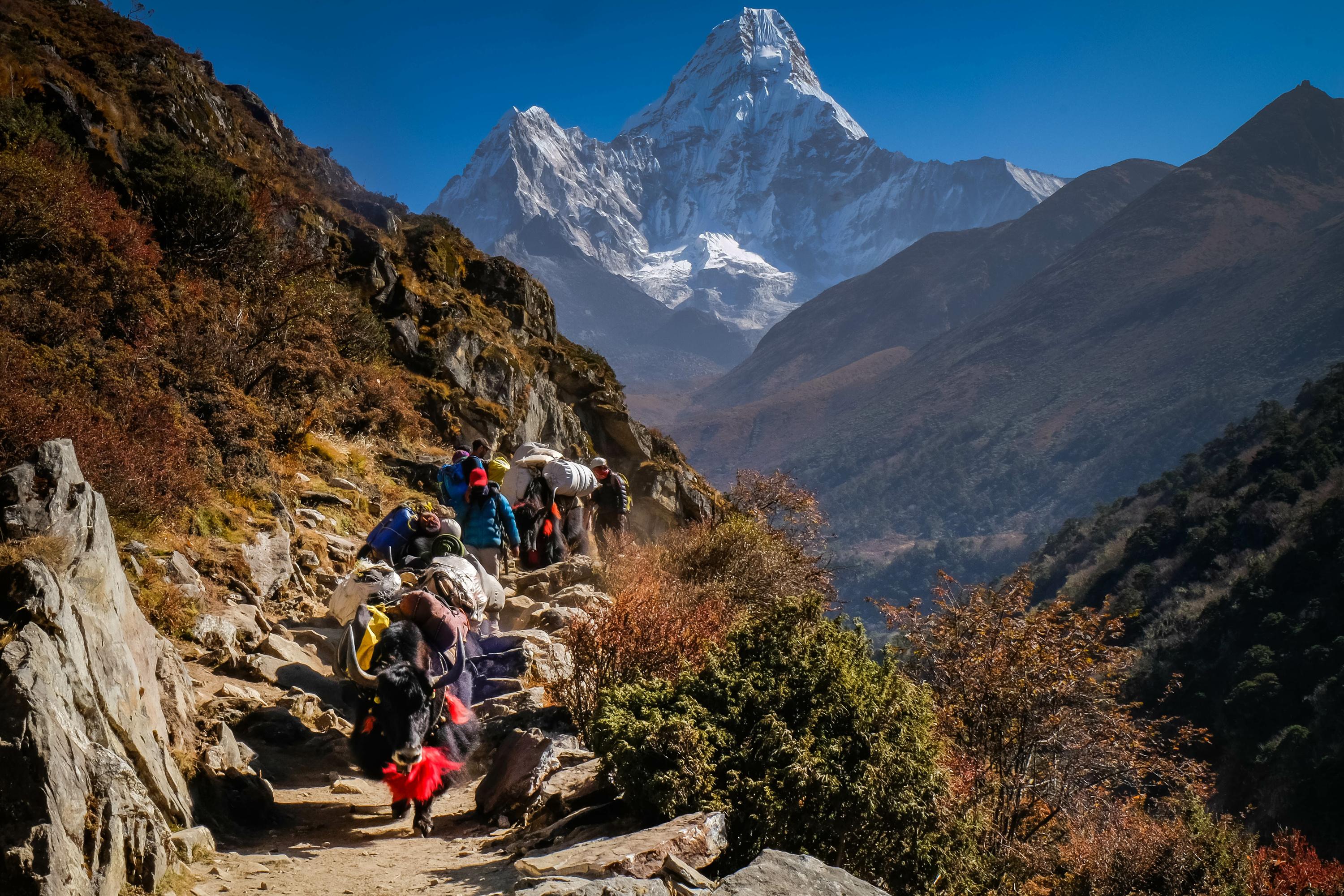 Last 1953 Everest climber dies