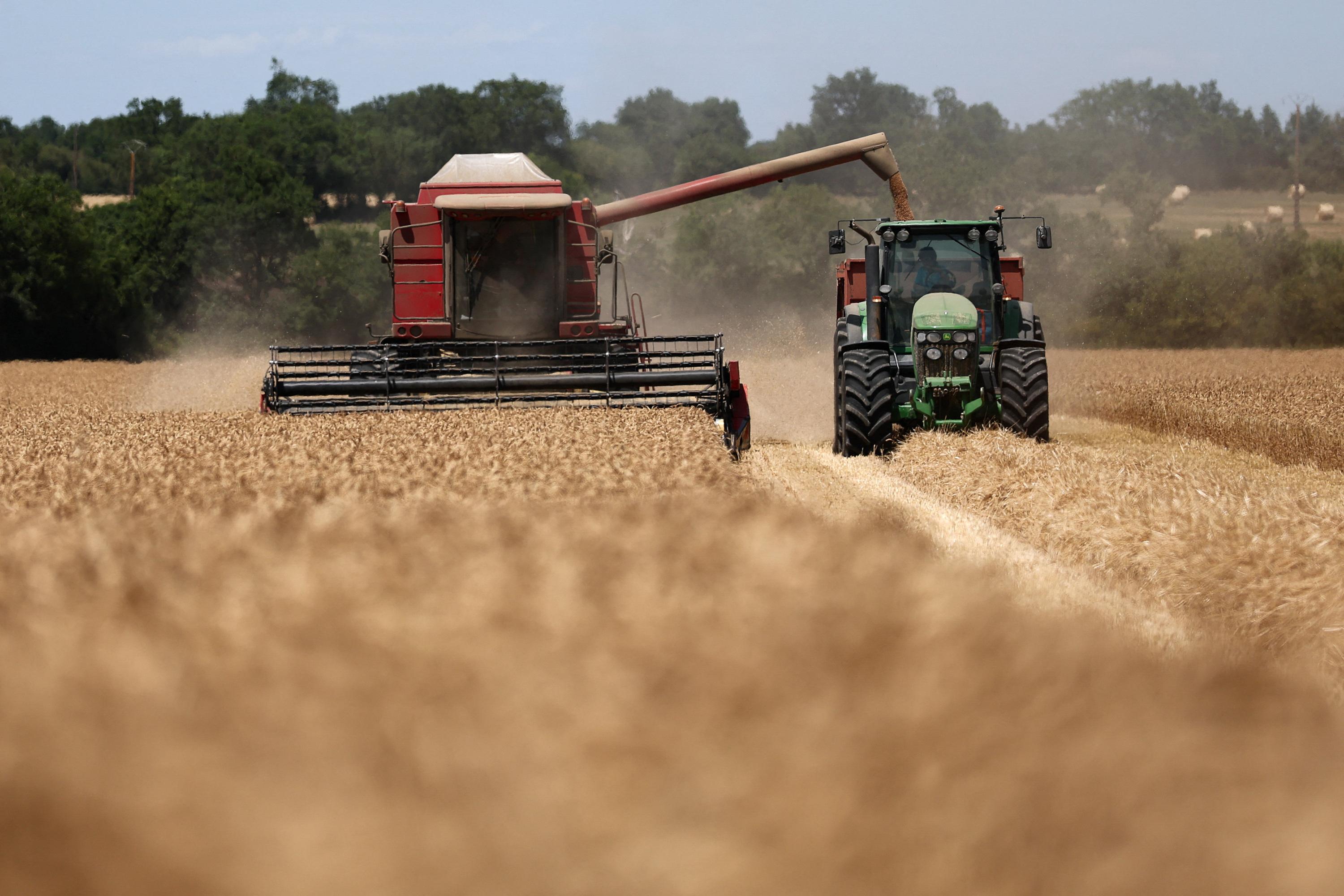 «Ce qui nous inquiète, c’est la pérennité de l’agriculture française» : la FNSEA alerte sur les effets de la canicule