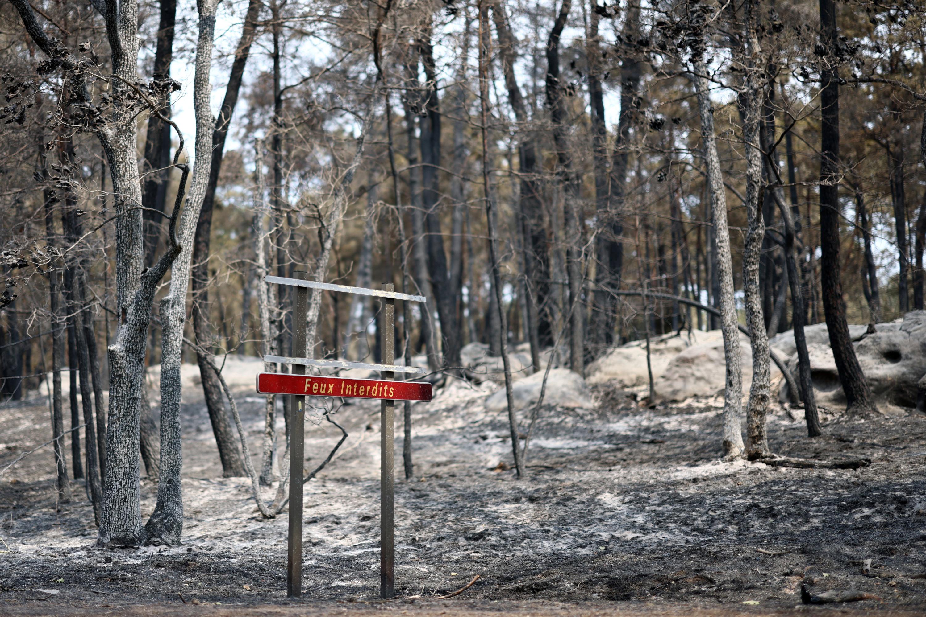 EN DIRECT - Incendies à Fontainebleau : des travaux à l’origine du feu principal