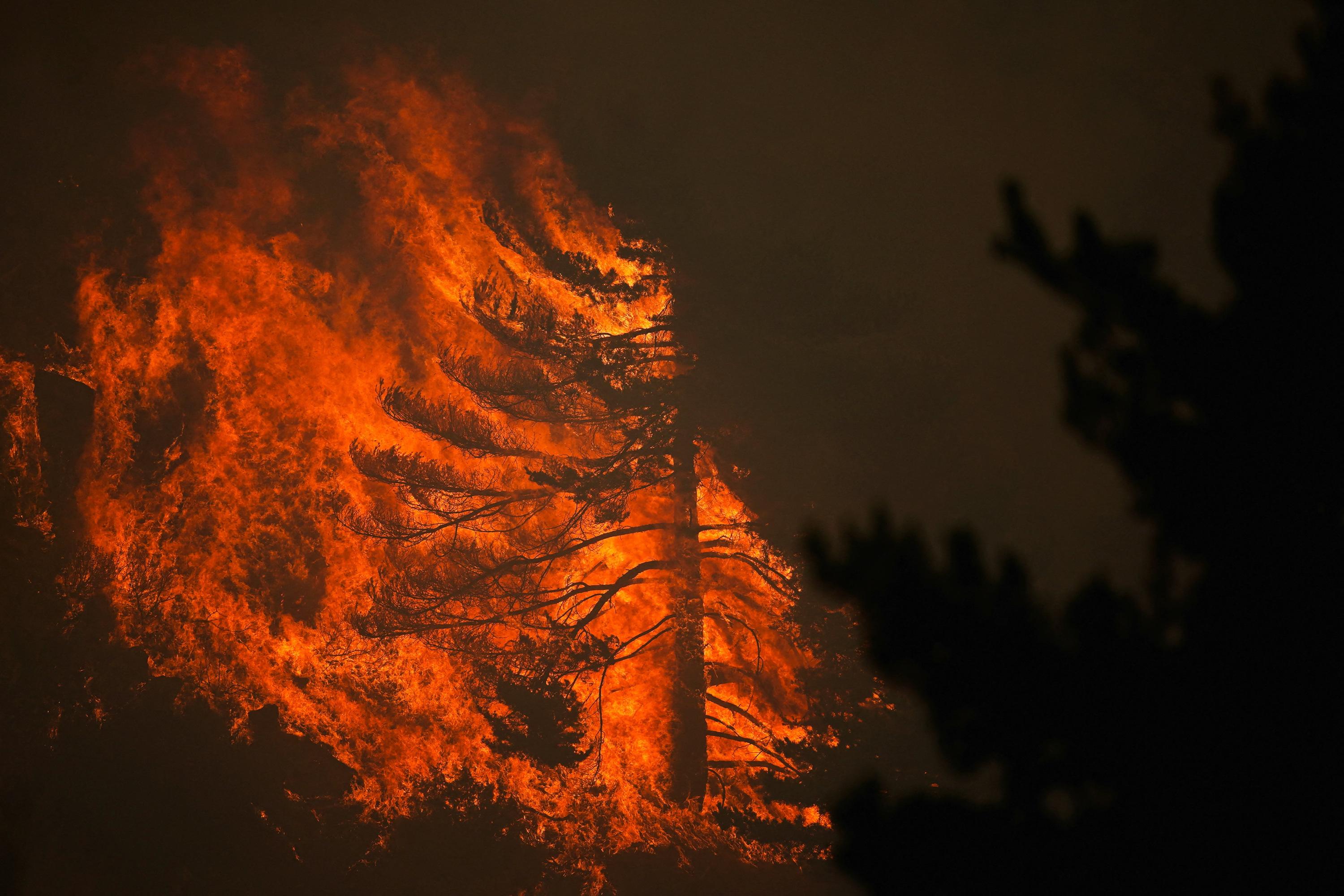 Espagne : l'incendie à 100 km au nord de Madrid est «l'un des plus complexes» de l'histoire du pays, selon les autorités