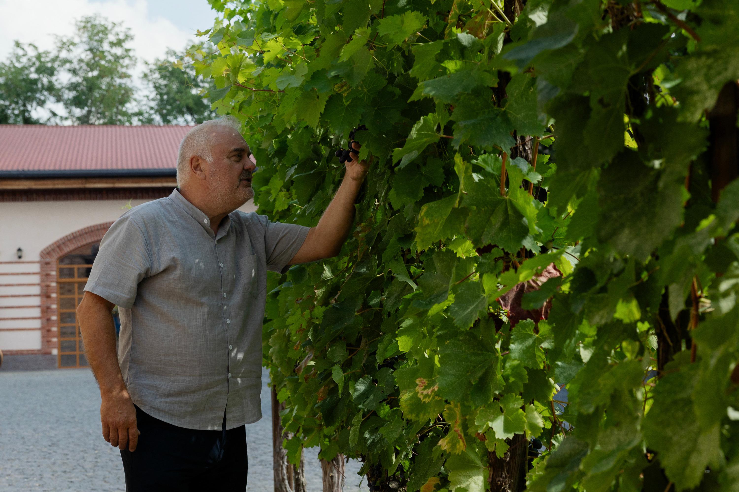 «Le potentiel pour les vins rouges a émergé» : en Ukraine, un patriotisme viticole est né malgré la guerre