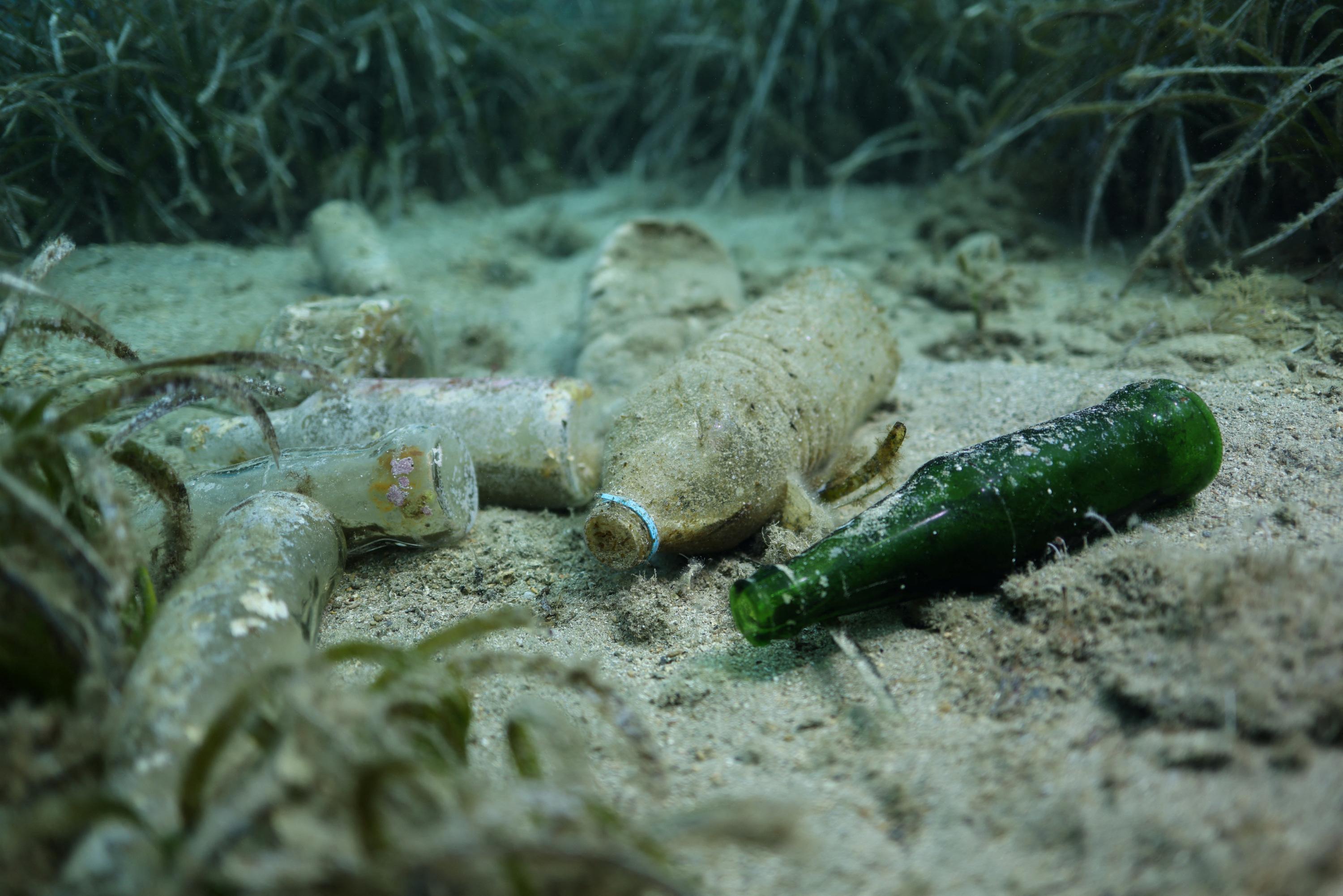 Plastique, aluminium : vers la consigne des bouteilles et canettes en France