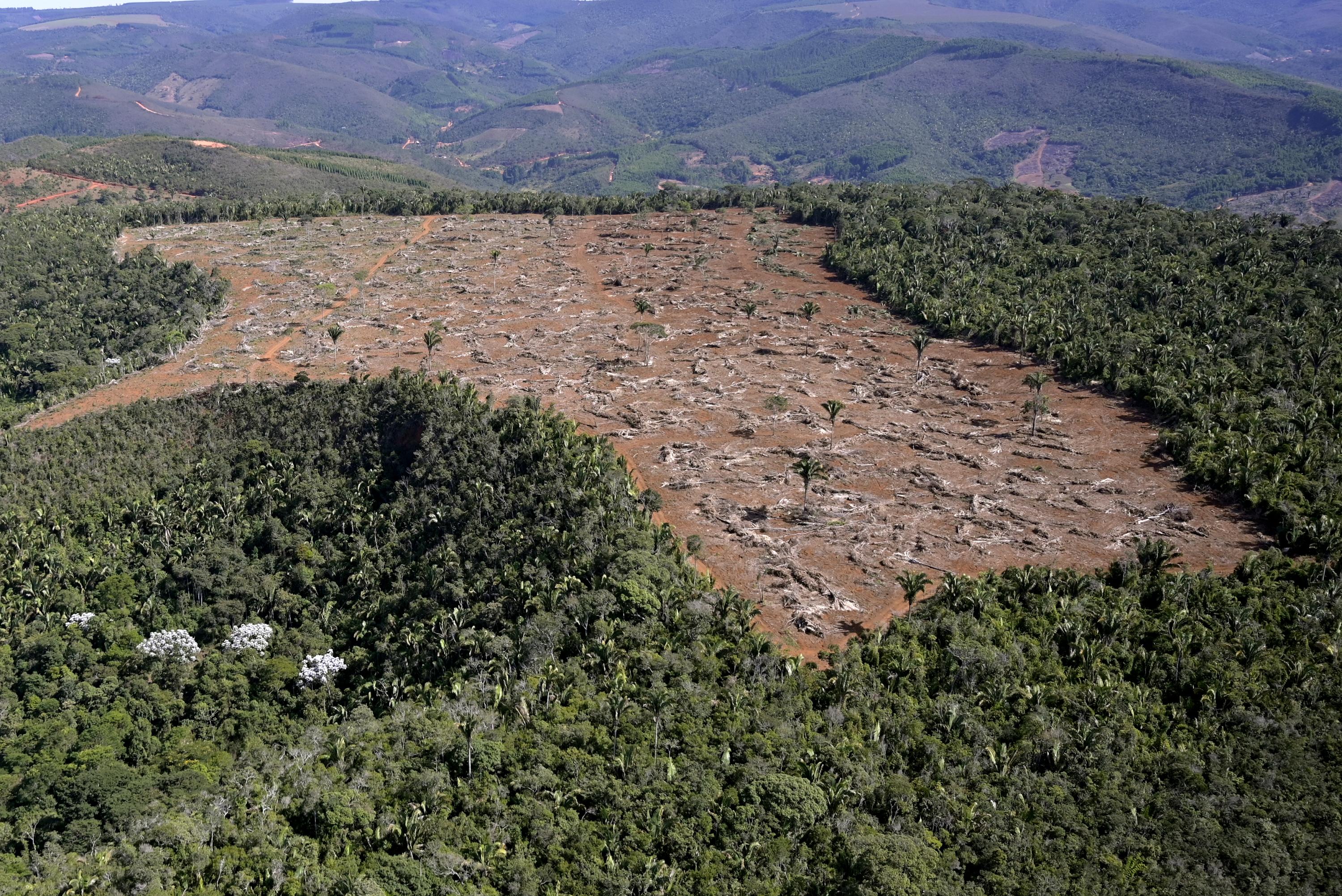 Bruxelles propose de repousser d'un an l'entrée en vigueur de la loi anti-déforestation