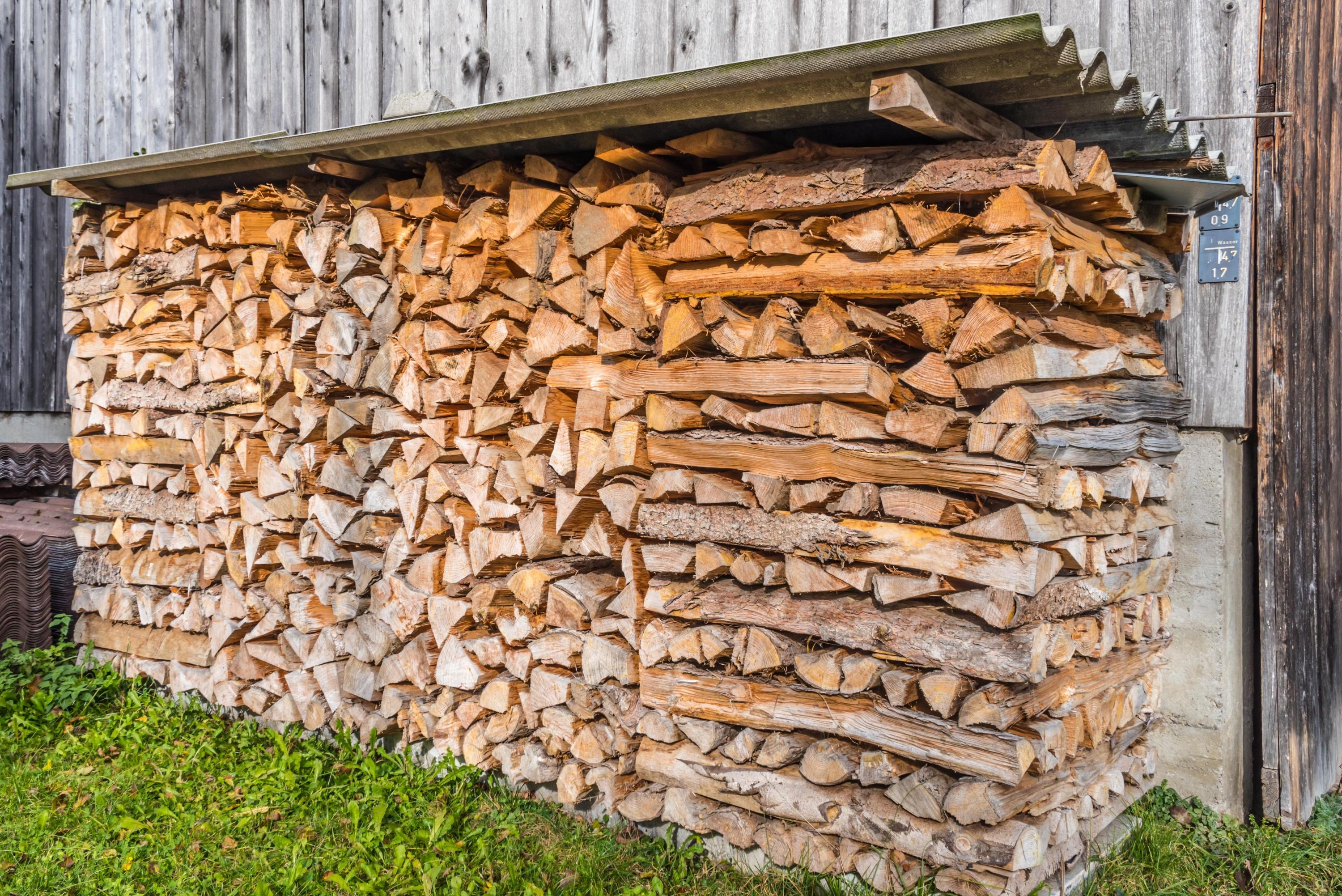 Près de Lyon, la polémique enfle autour d’un projet de chaufferie au bois de la métropole écologiste