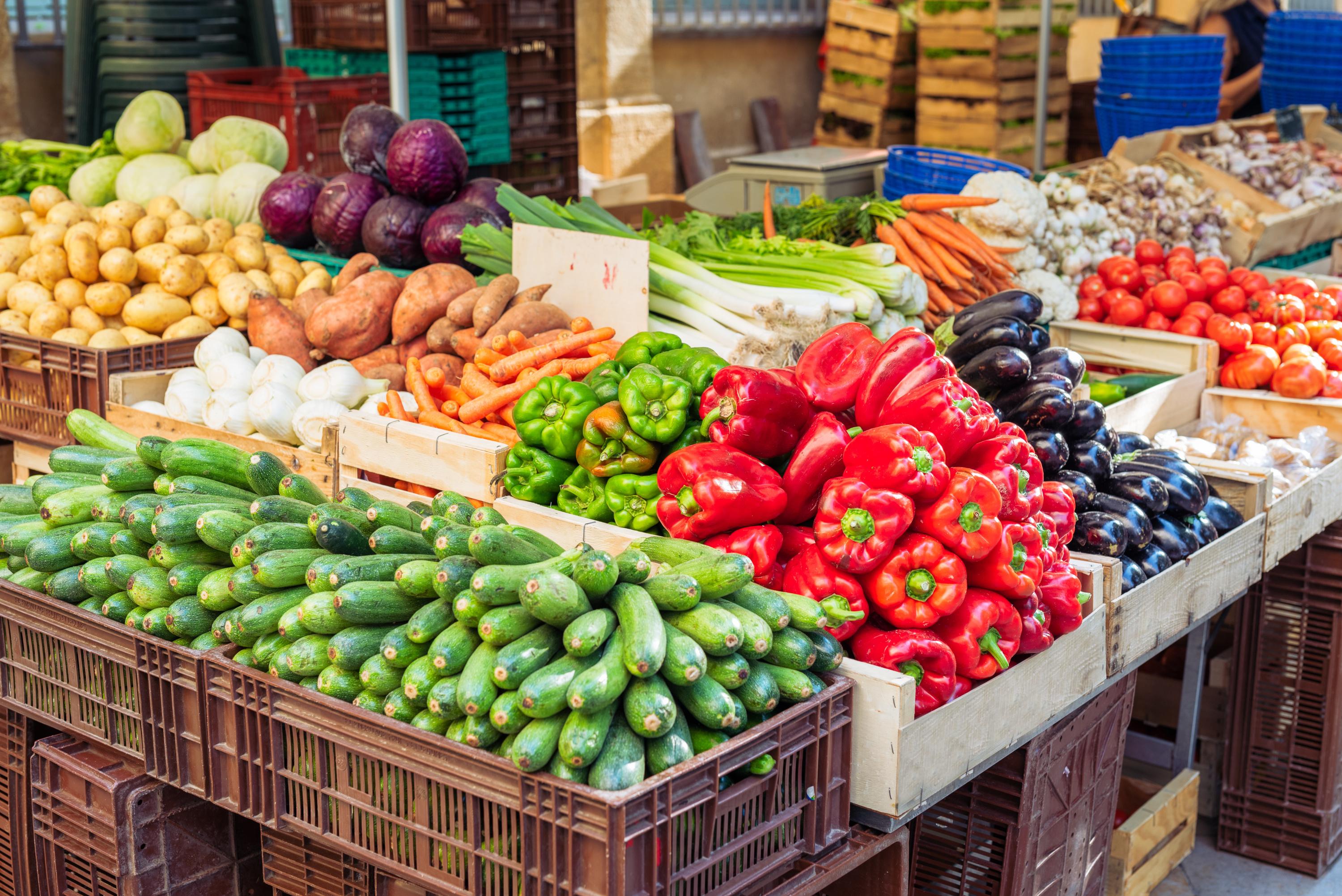 Salon de l’agriculture : tomates, céréales… Que représentent les échanges agricoles entre la France et le Maroc ?