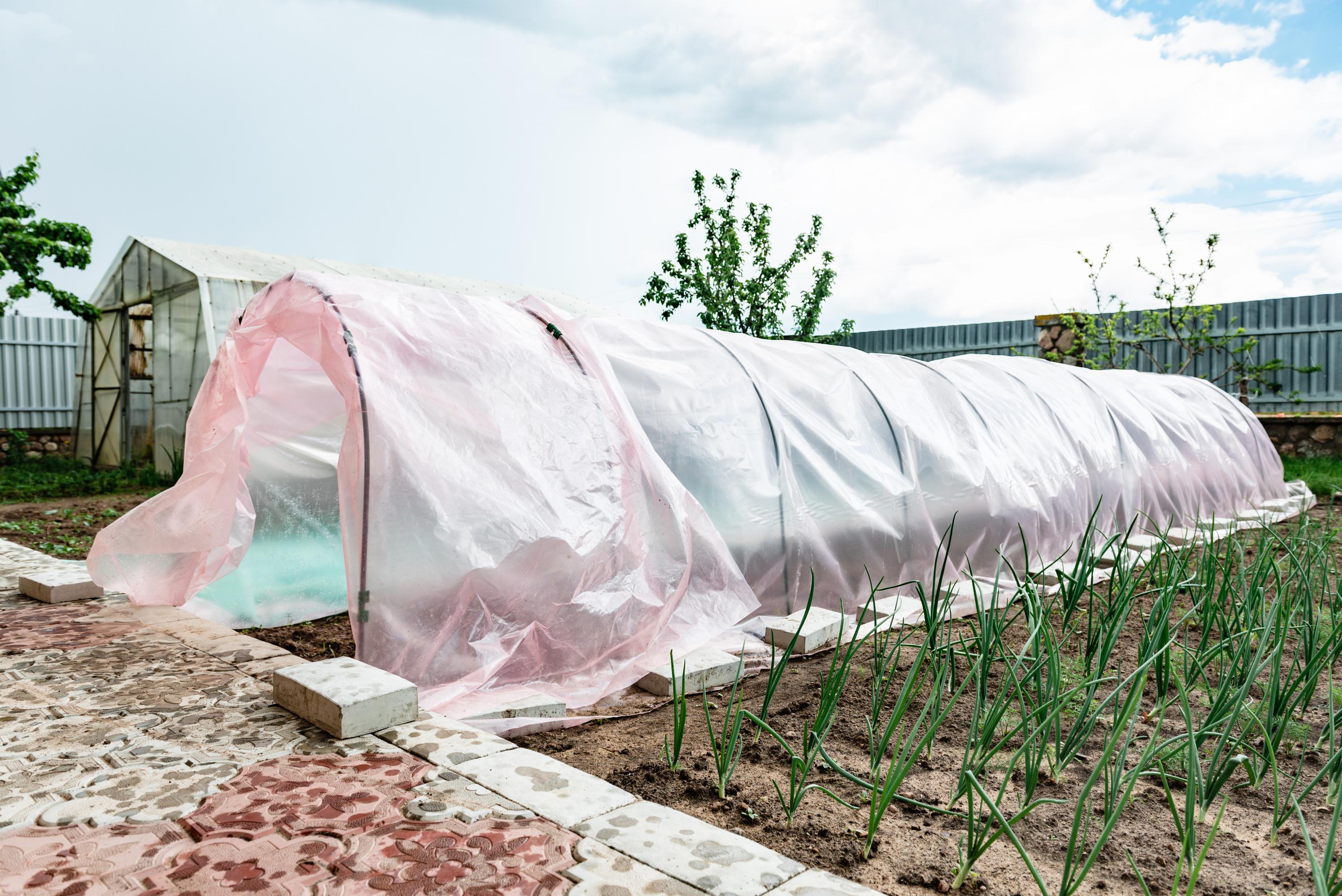 Le tunnel de jardin : quels avantages par rapport à la serre ?