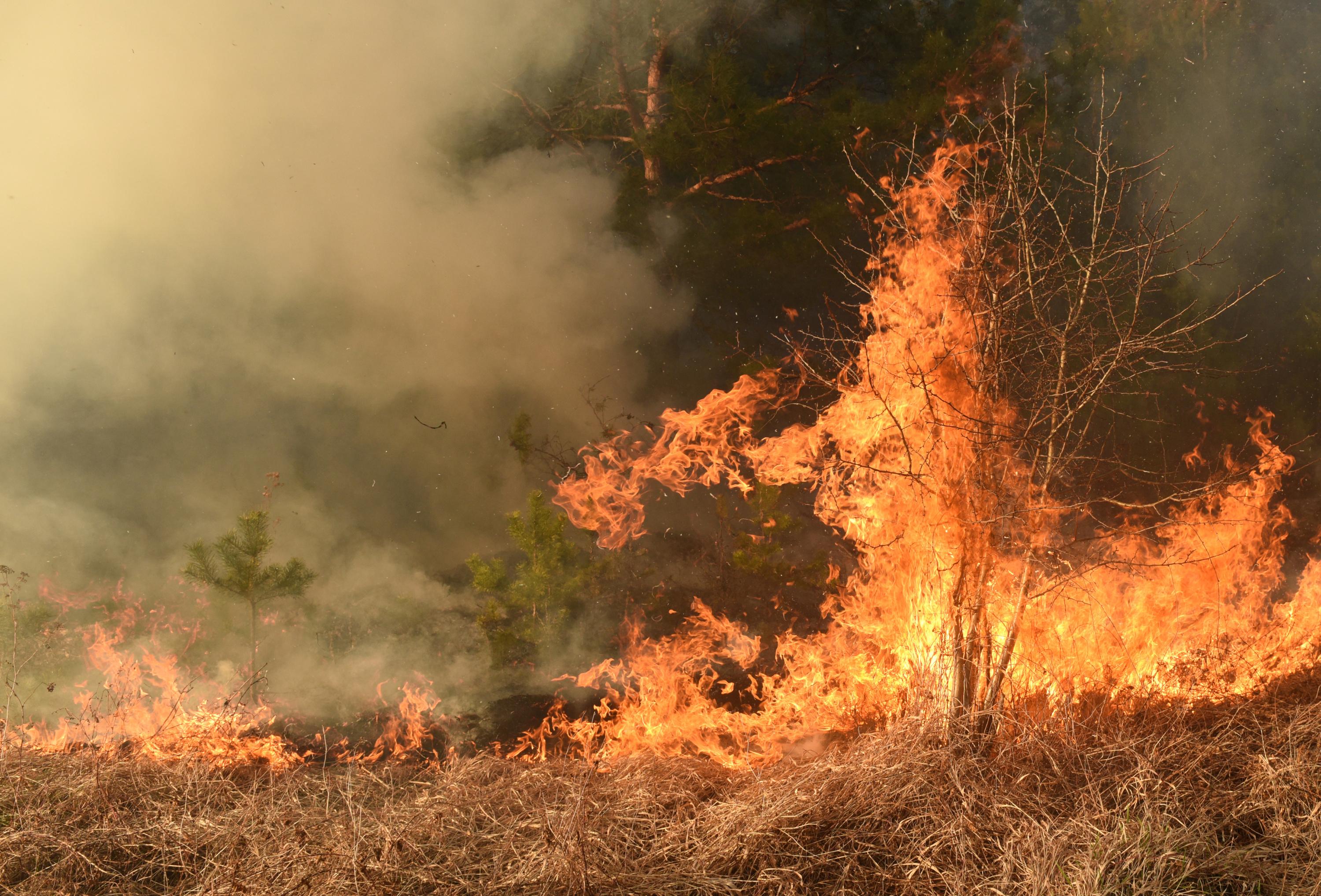 Charente : un homme condamné à 12 ans de réclusion criminelle pour avoir allumé 32 incendies
