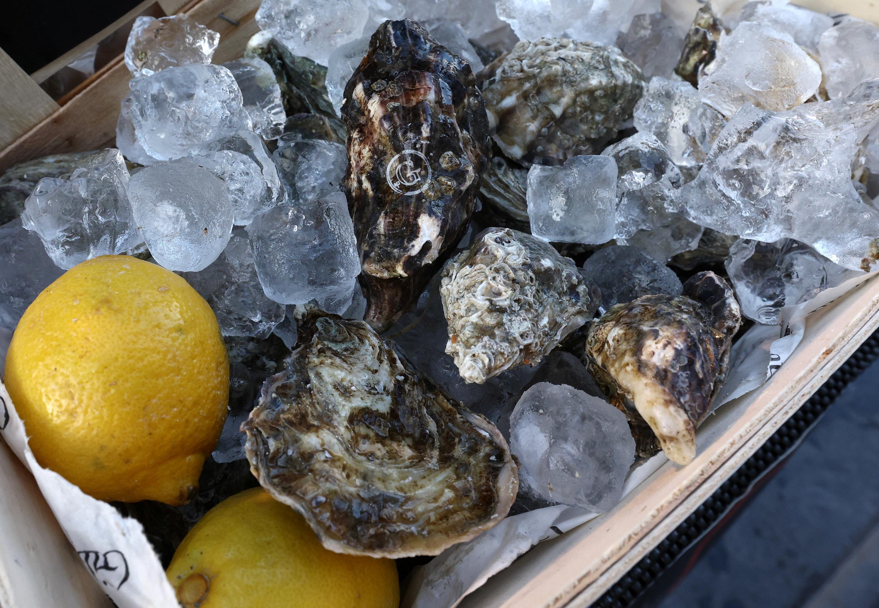 Norovirus Forces Suspension of Shellfish Harvesting in Thau Lagoon Ahead of New Year