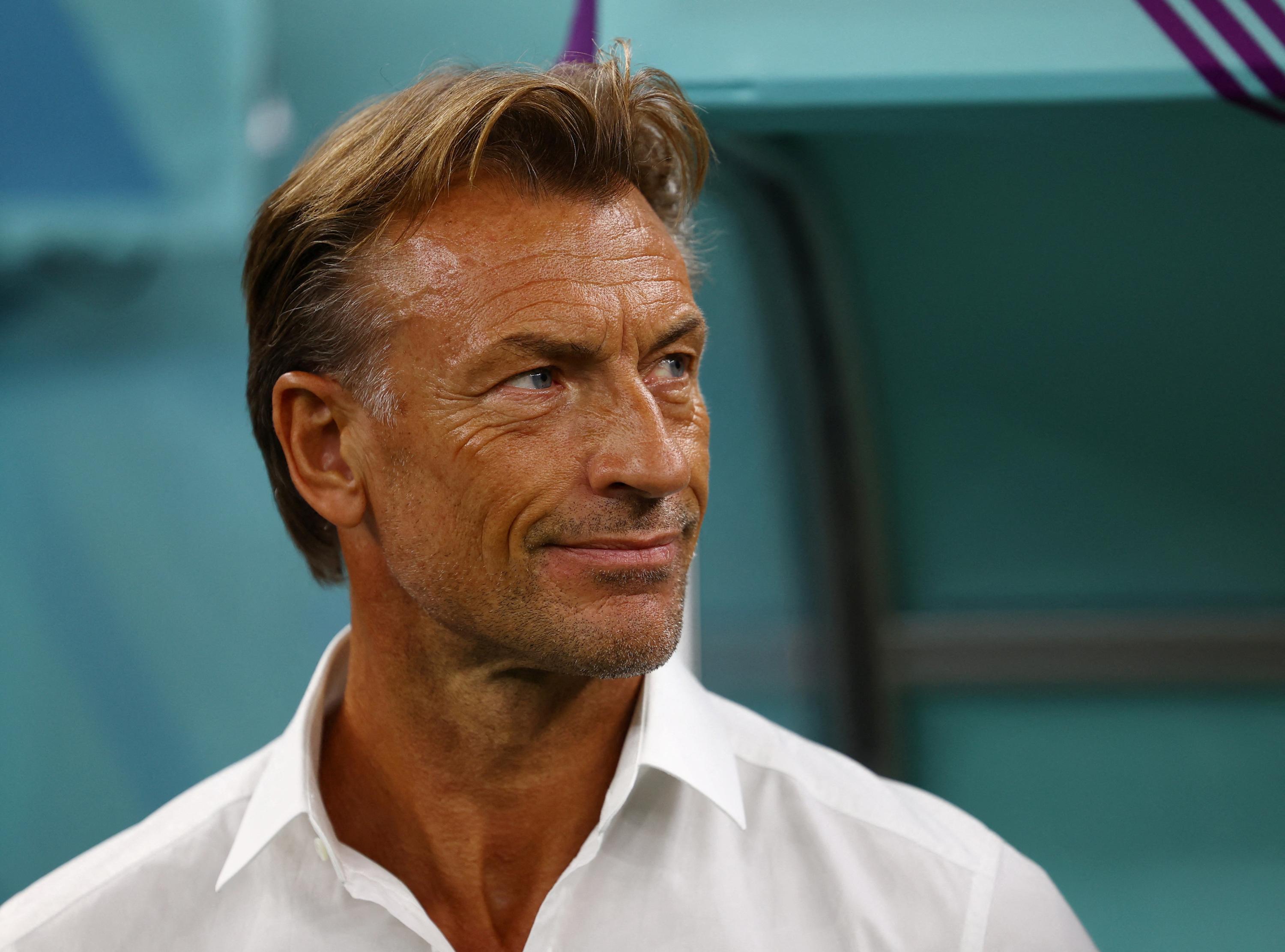 Herve renard