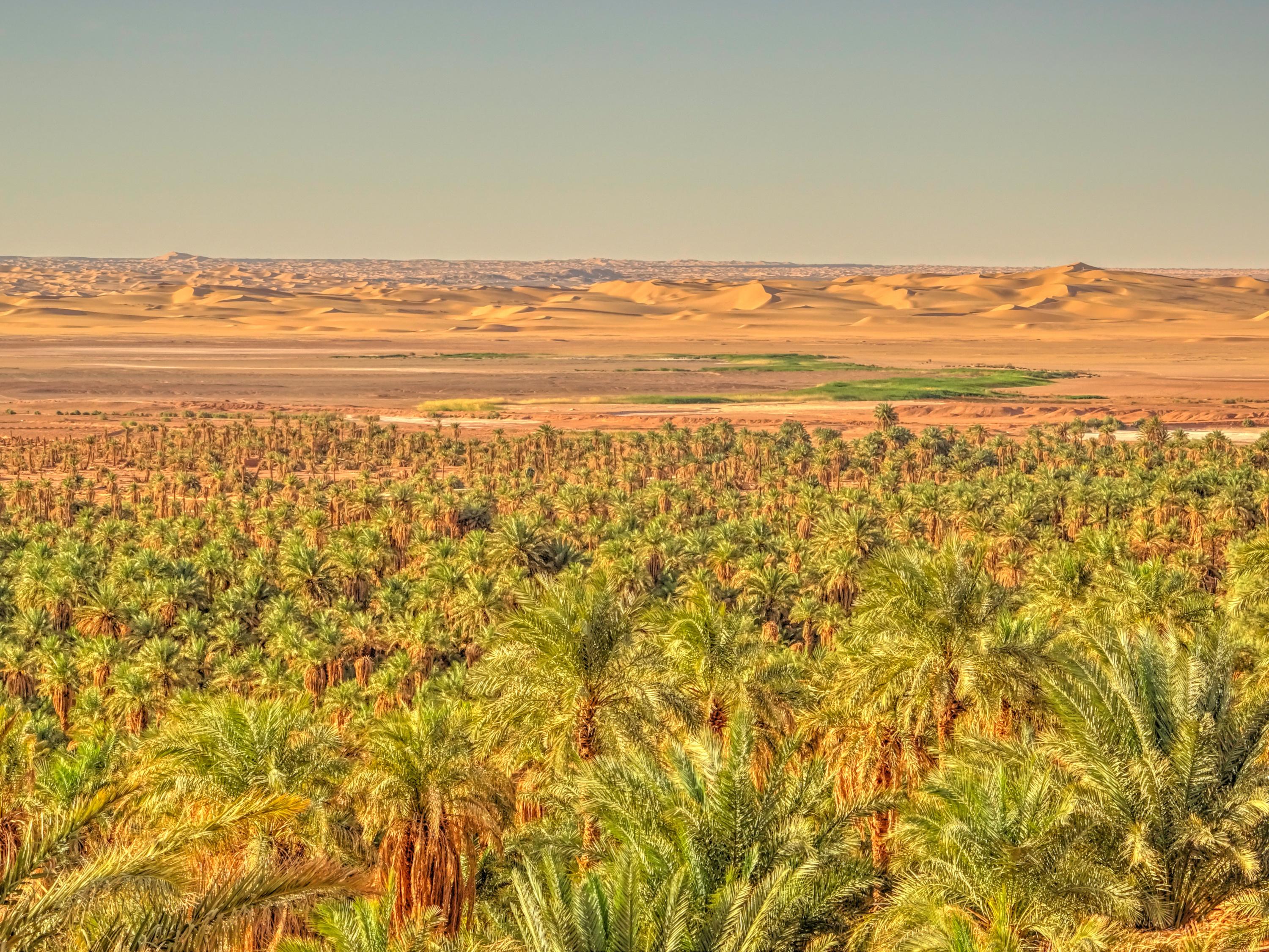 La lutte contre la désertification au coeur d’un sommet mondial en Arabie saoudite