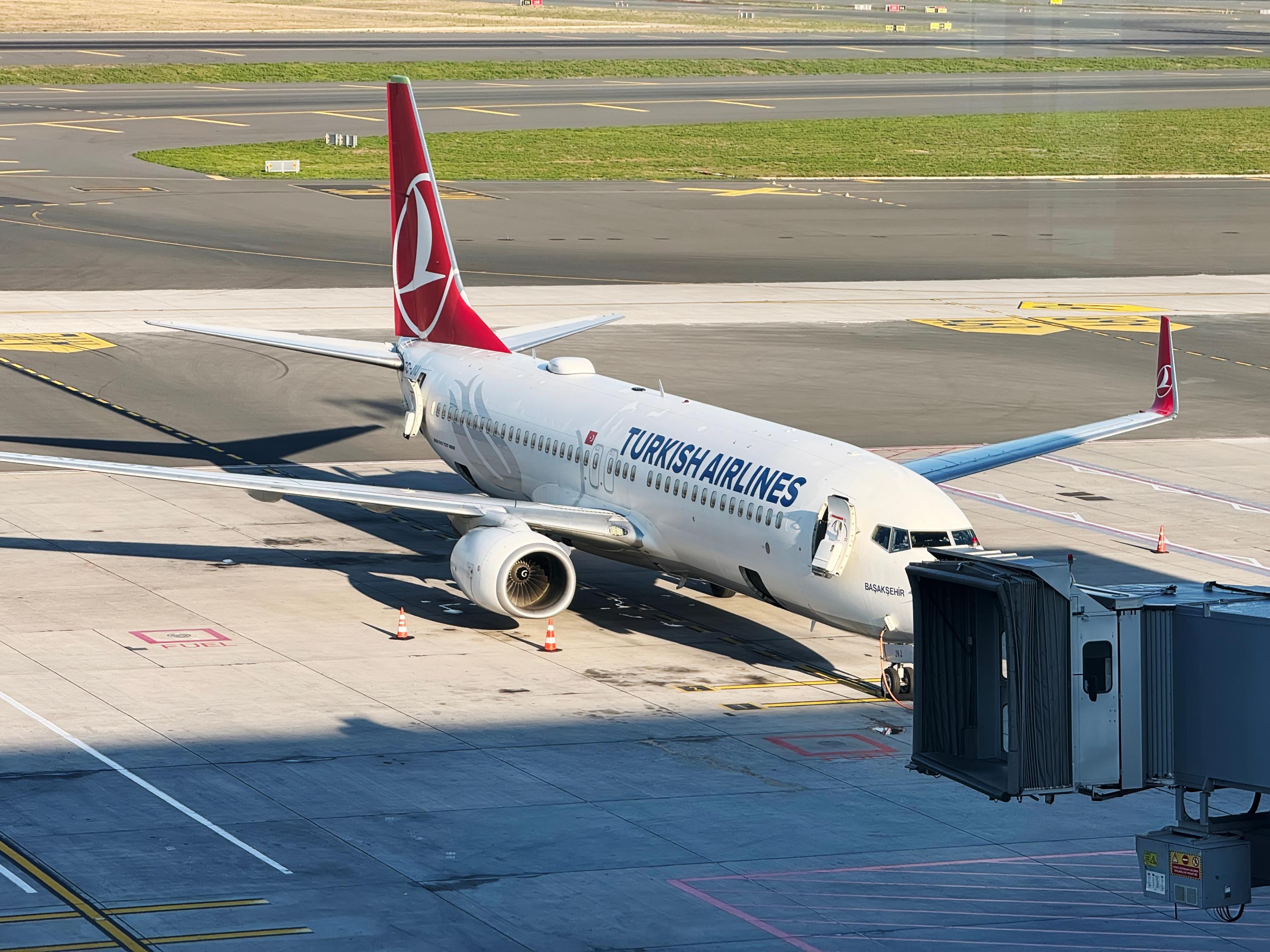 Alerte aux punaises de lit sur des vols de la compagnie Turkish Airlines