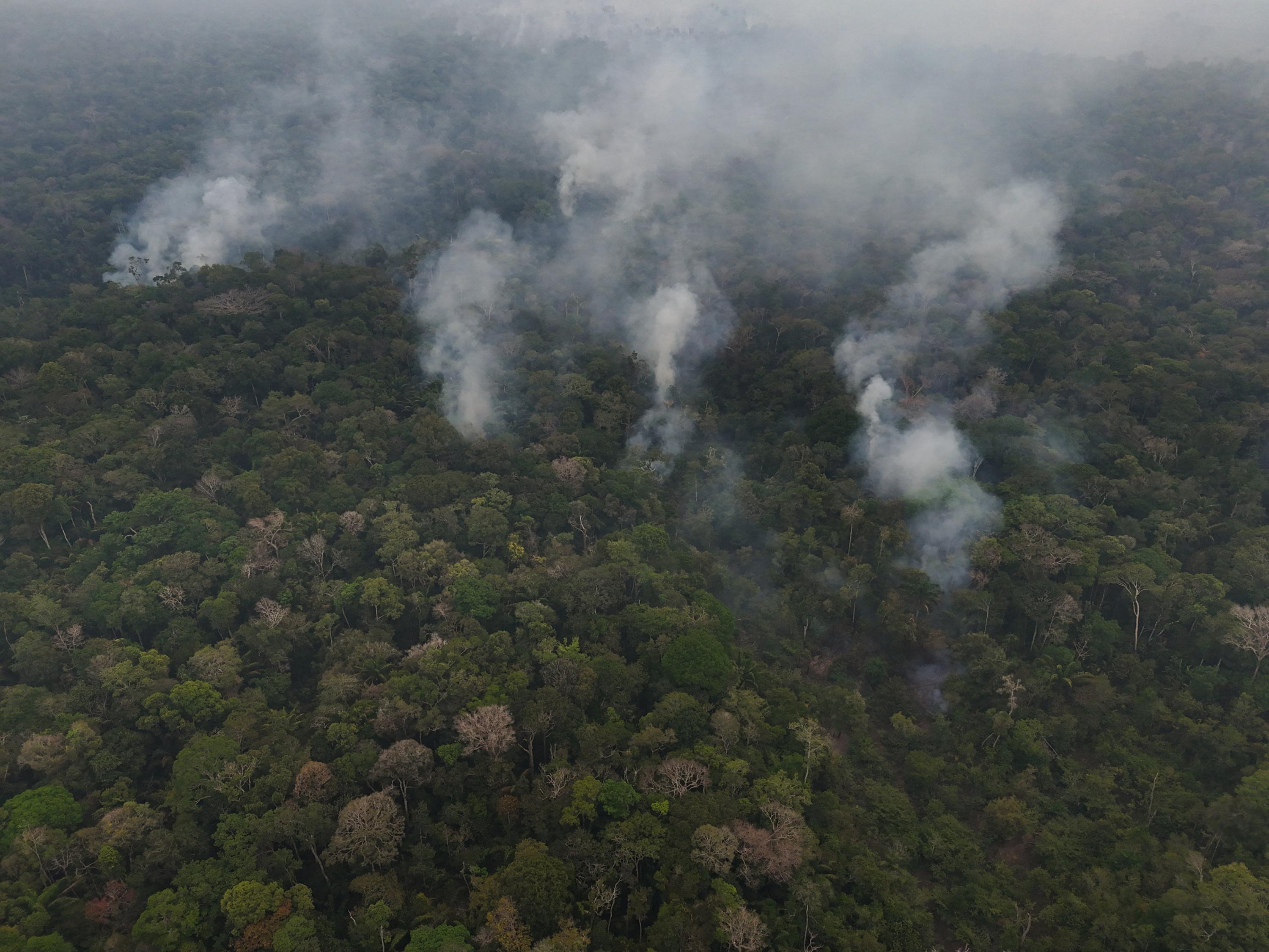 Brésil: la déforestation amazonienne au plus bas niveau depuis près de 40 ans