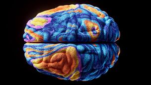 la méthode des 3 S du neuroscientifique Tommy Wood