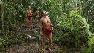 Dans l’archipel des Mentawaï, la sagesse des Sakuddeïs survit à l’ombre des forêts d’Indonésie