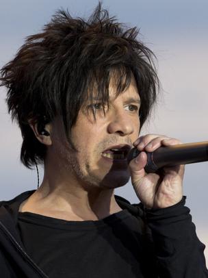 nicolas sirkis cheveux