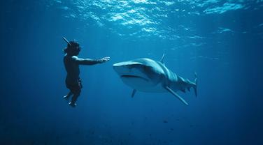 Audiences : quel score pour le retour de Thalassa sur France 3 ?