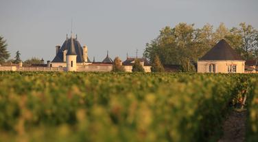 «J’en ai acheté des caisses» : dans les appellations les plus prestigieuses de Bordeaux, voici 10 vins au rapport qualité-prix imbattable