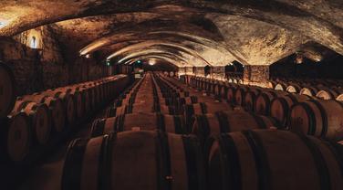 Montrachet, Chambertin, Grands Echezeaux… Notre palmarès des 30 plus grands vins de Bourgogne sur le millésime 2023