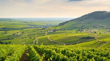 Ces 10 cuvées qui signent la révolution du beaujolais nouveau, à partir de 7 euros