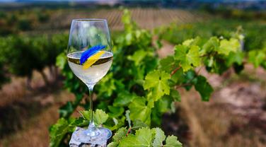 À Bordeaux, une dégustation de vins ukrainiens pour soutenir les vignerons locaux
