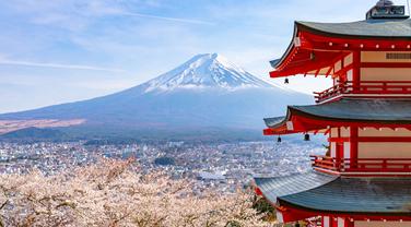 «La tranquillité des habitants menacée» : au Japon, le festival emblématique des cerisiers près du mont Fuji est annulé