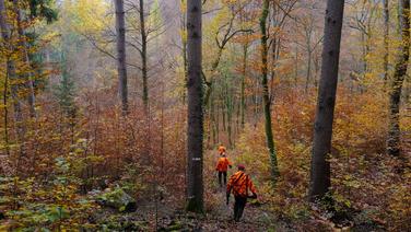 Homme confondu avec un sanglier par des chasseurs dans le Lot : ses proches veulent déposer plainte