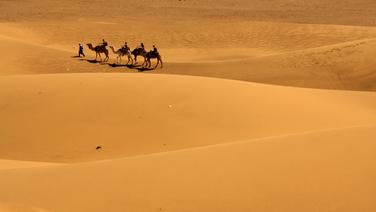 Maroc : d'oasis en kasbahs, nos incontournables de la vallée du Drâa