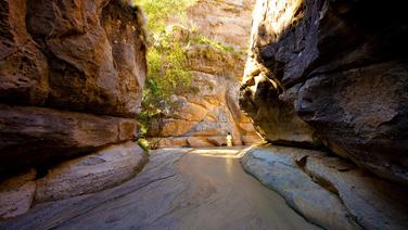 Le Makay, à Madagascar, est un labyrinthe de profonds canyons, sillonné de rivières, tapissé de mousses, de fougères et de palmiers, formant un biotope à part où la vie s'est développée en totale autarcie.