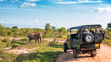 Synonyme de safari et d'exploration, le Kenya se visite idéalement durant les deux saisons sèches, de décembre à mars et de juillet à septembre.